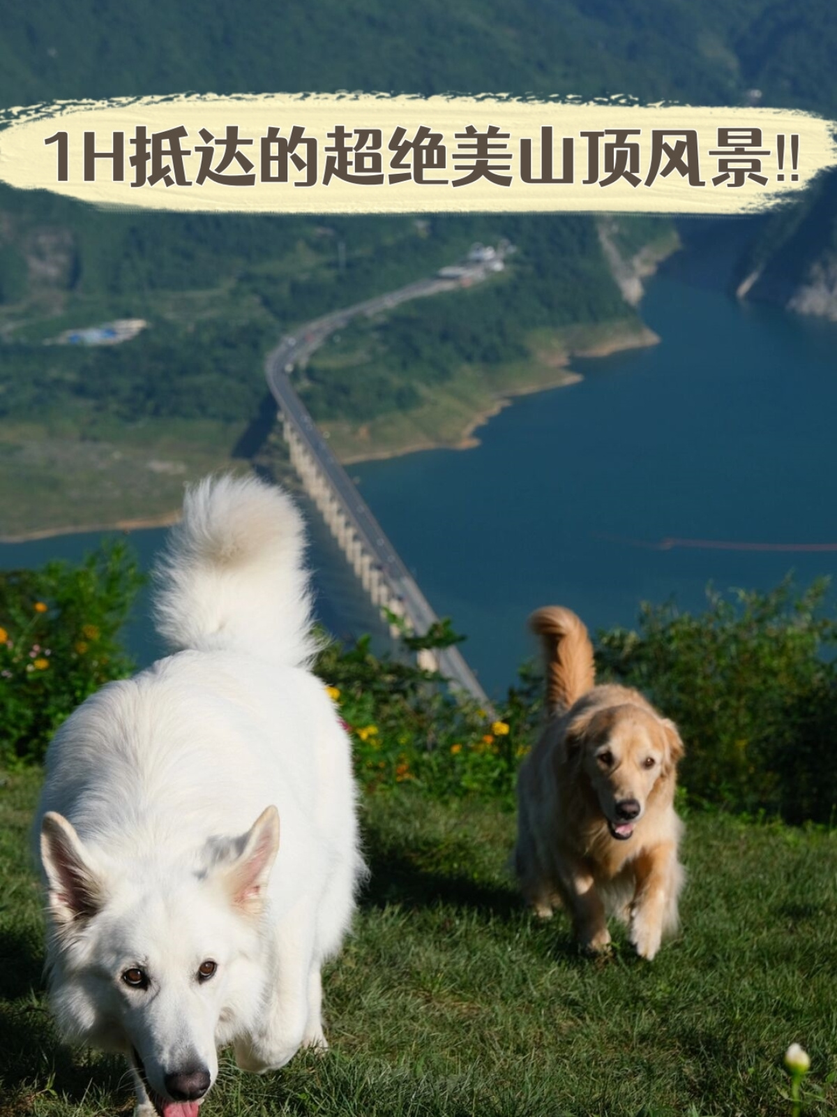 在导航到白果坪的过程中沿途的景色相对单一但徒步往返的时间大约