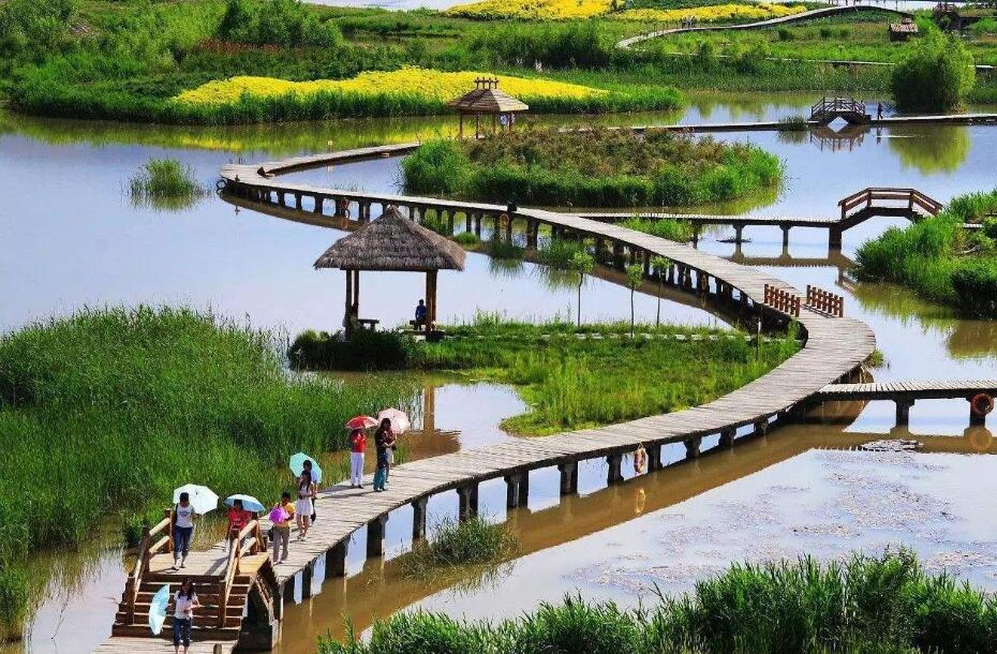 郑州黄河国家湿地公园位于郑州市区以北,拥有独特的黄河文化资源,是一