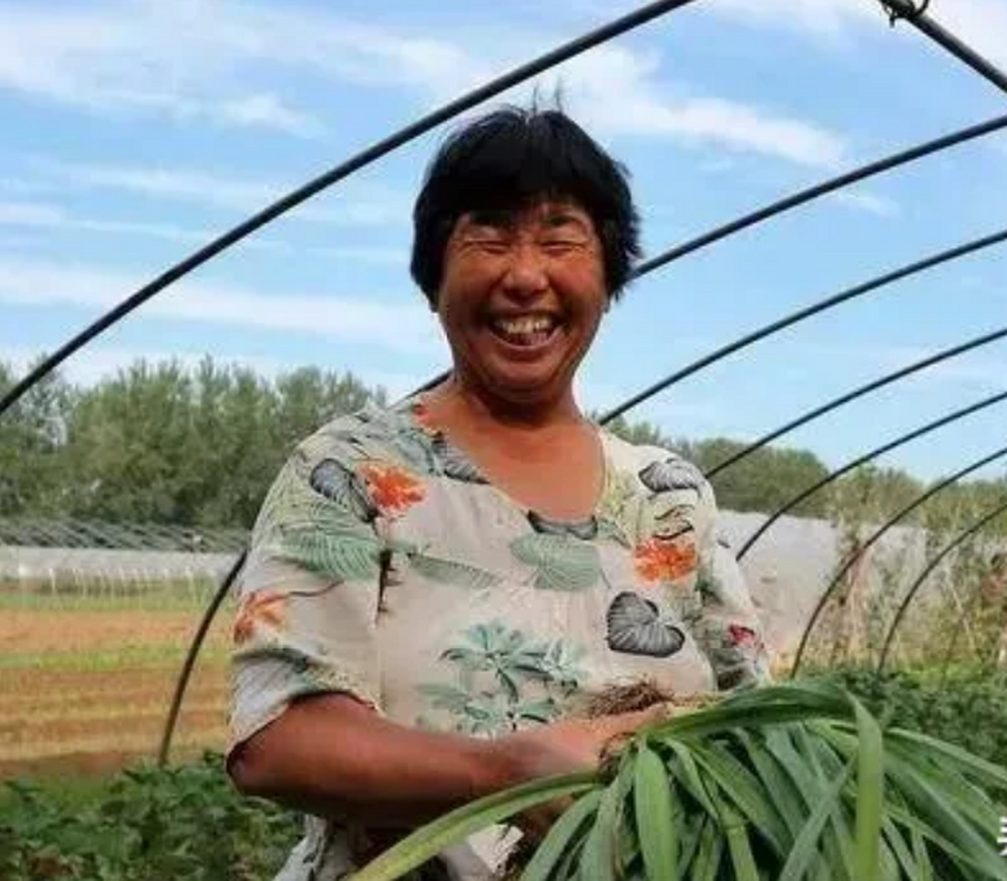 在我老家农村,上了年纪的妇女,十个有九个是胖子.