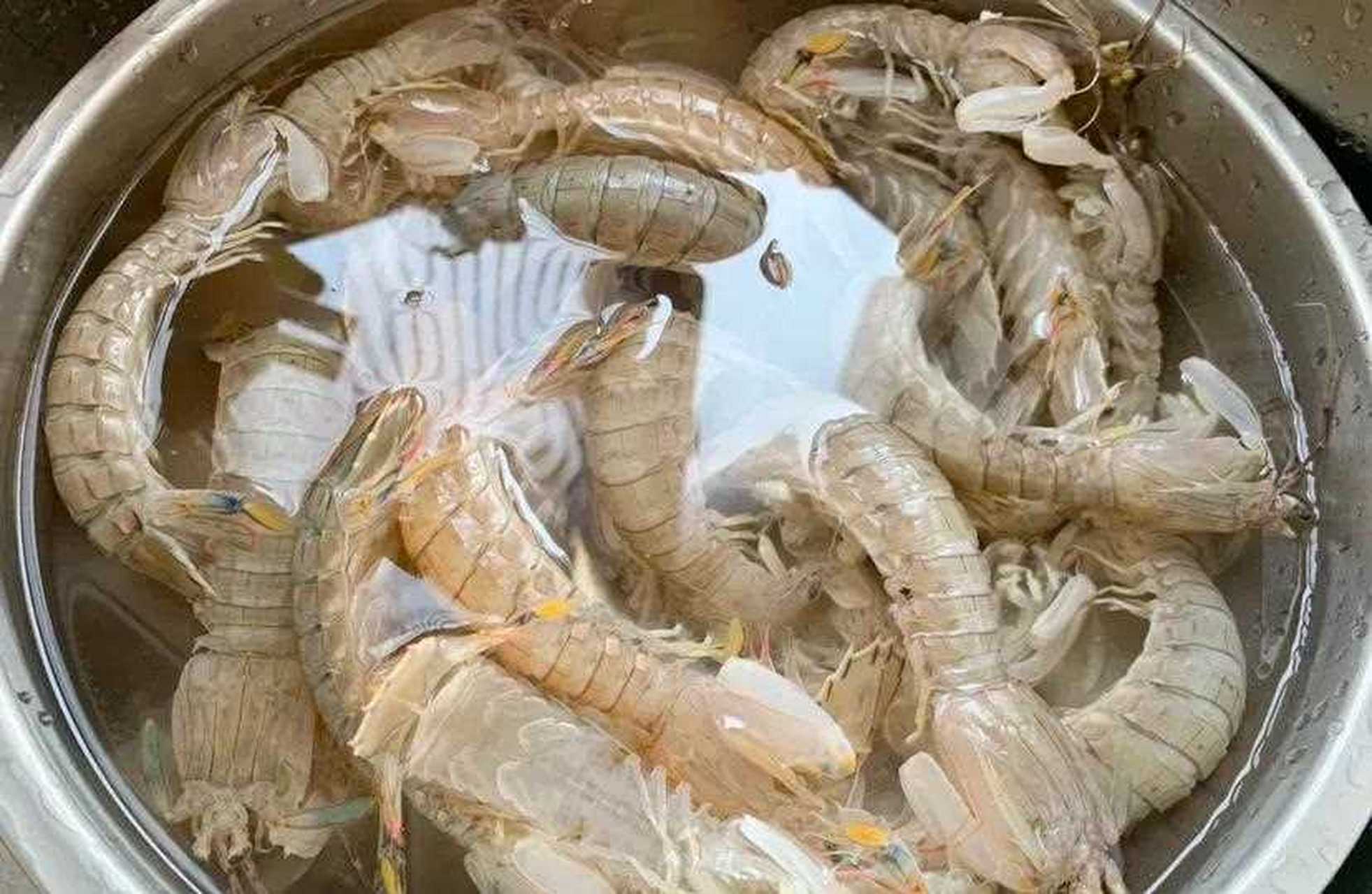 皮皮虾时光[国宝] 菜市场买了鲜活皮皮虾,花了65块钱,一斤多点,不知道