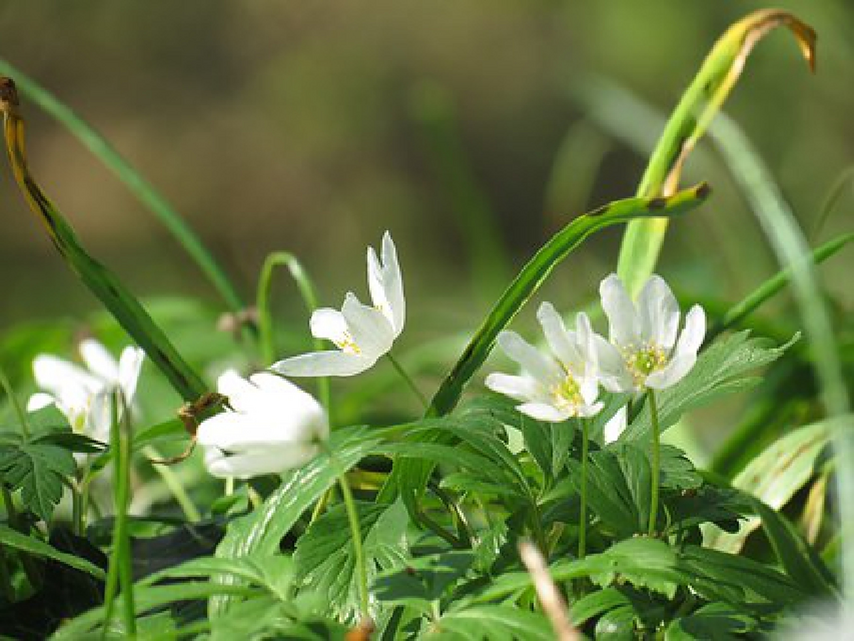 我一生中走错了不少路,看错不少人