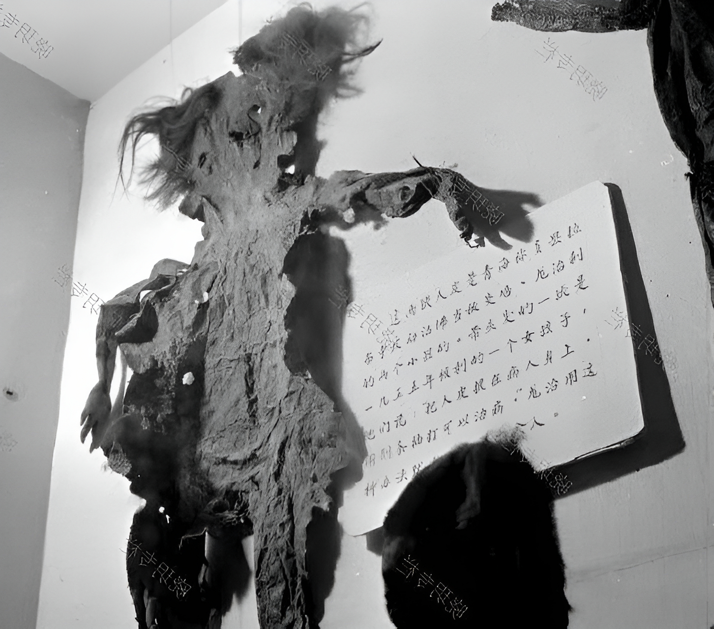 1955年,在青海的称多县拉布寺里,有一块挂着一个女孩人皮的墙!