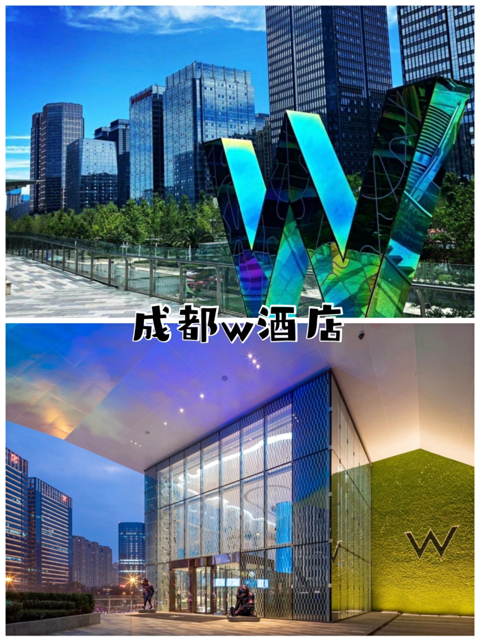 成都w酒店logo图片