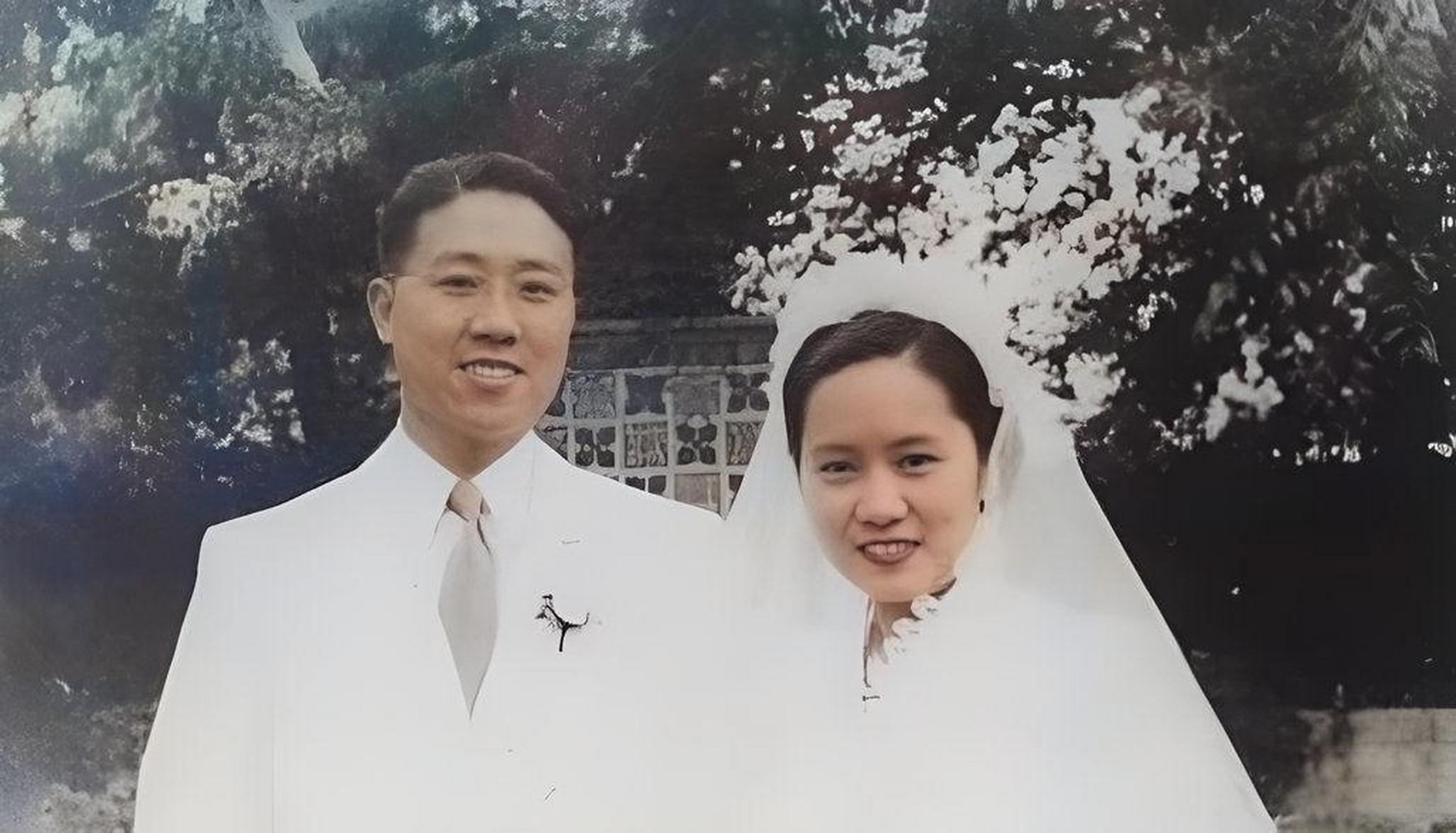 袁家骝与吴健雄结婚时,同为著名物理学家,丈夫袁家骝名气不及妻子.
