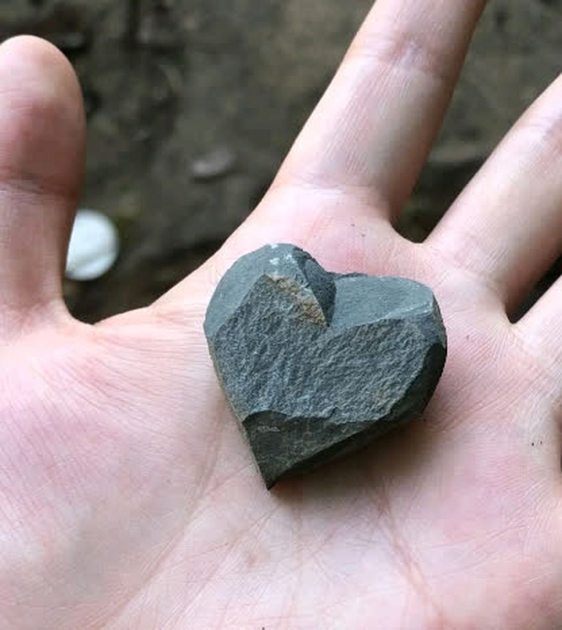 捡到一颗心形石头,标准不错[汗]