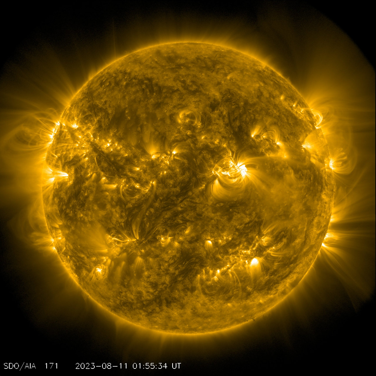 这是北京时间8月11日早上9时59分的太阳不同波长实时图像,由美国宇航
