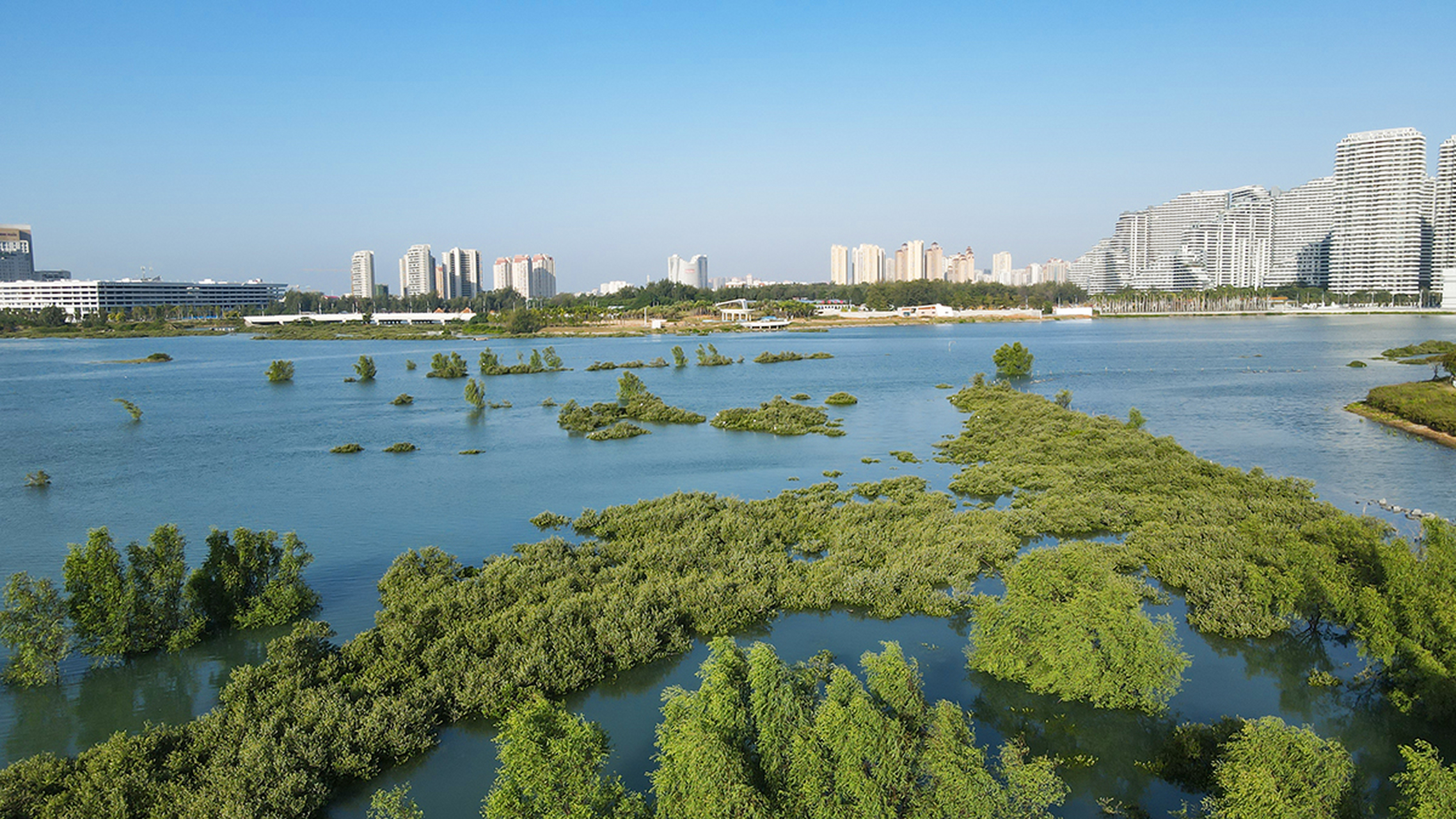 红树林,这一北海滨海风景的璀璨明珠,是外地游客心之所向的旅游胜地.