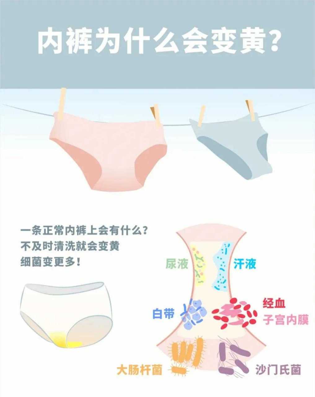 女生内裤特别脏还发黄图片