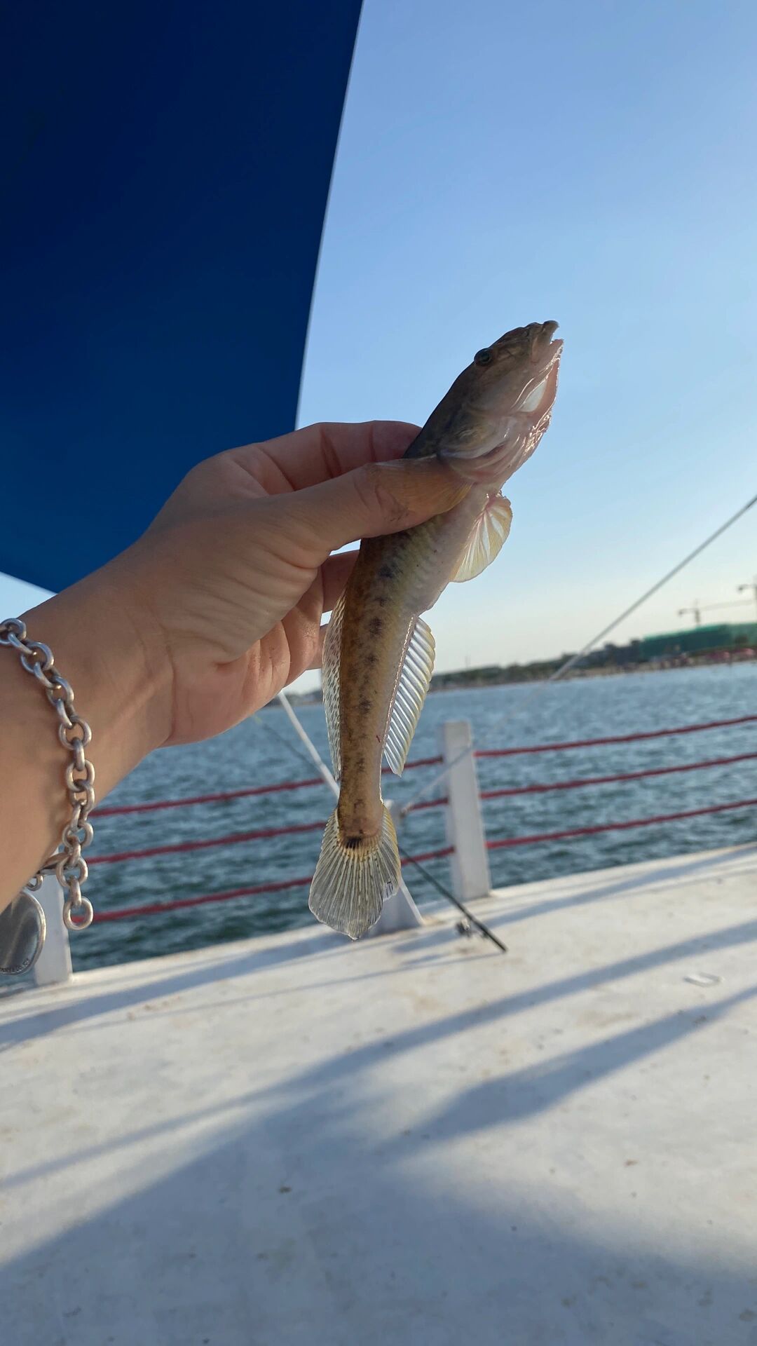 绝对是个村里海钓的最佳地点!