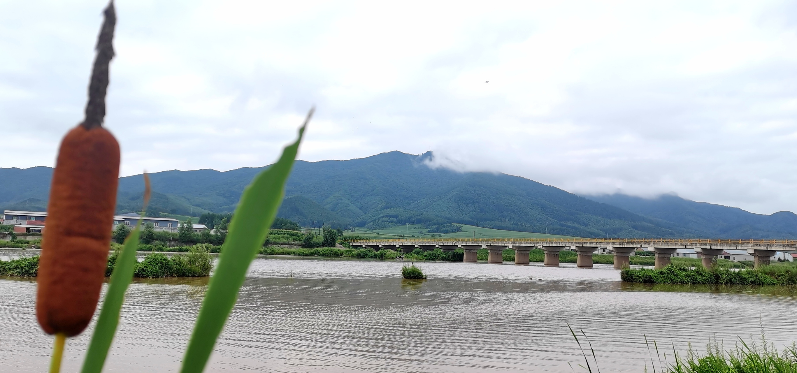 网红打卡地辽宁杠杠滴# 【抚顺市新宾满族自治县——苏子河】 #美好