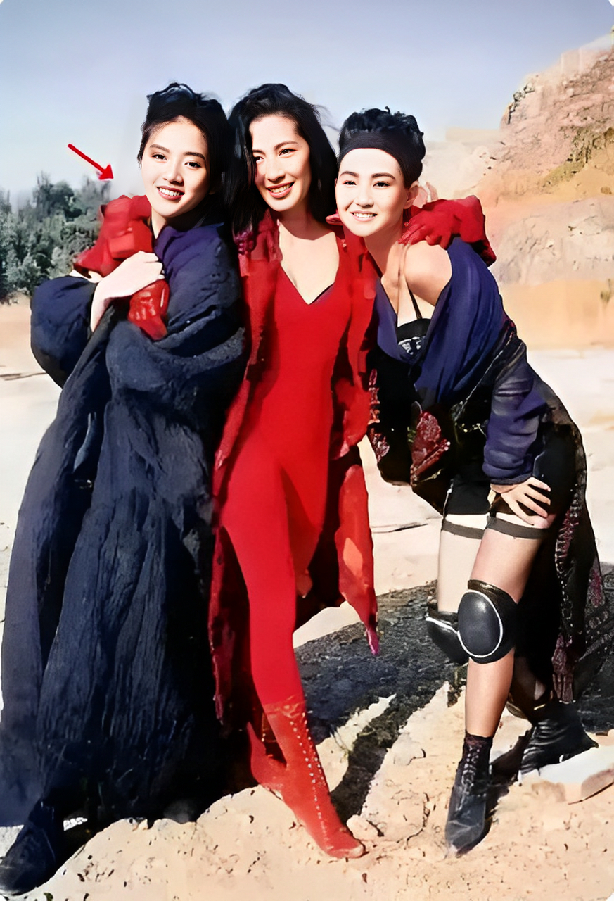 1993年2月,梅艳芳,杨紫琼,张曼玉联袂主演的《东方三侠》斩获票房193