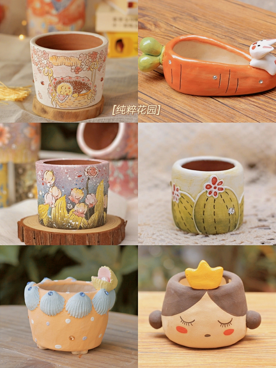 萌系花盆可爱肉肉植物的小窝 可可爱爱的肉肉植物 在阳光下总是闪闪