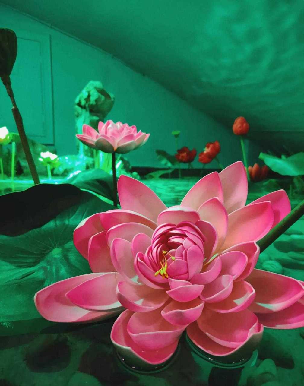 天津首家白洋淀一锅鲜 西淀壹锅鲜 琼州道1号 人均50  天津首家白洋淀