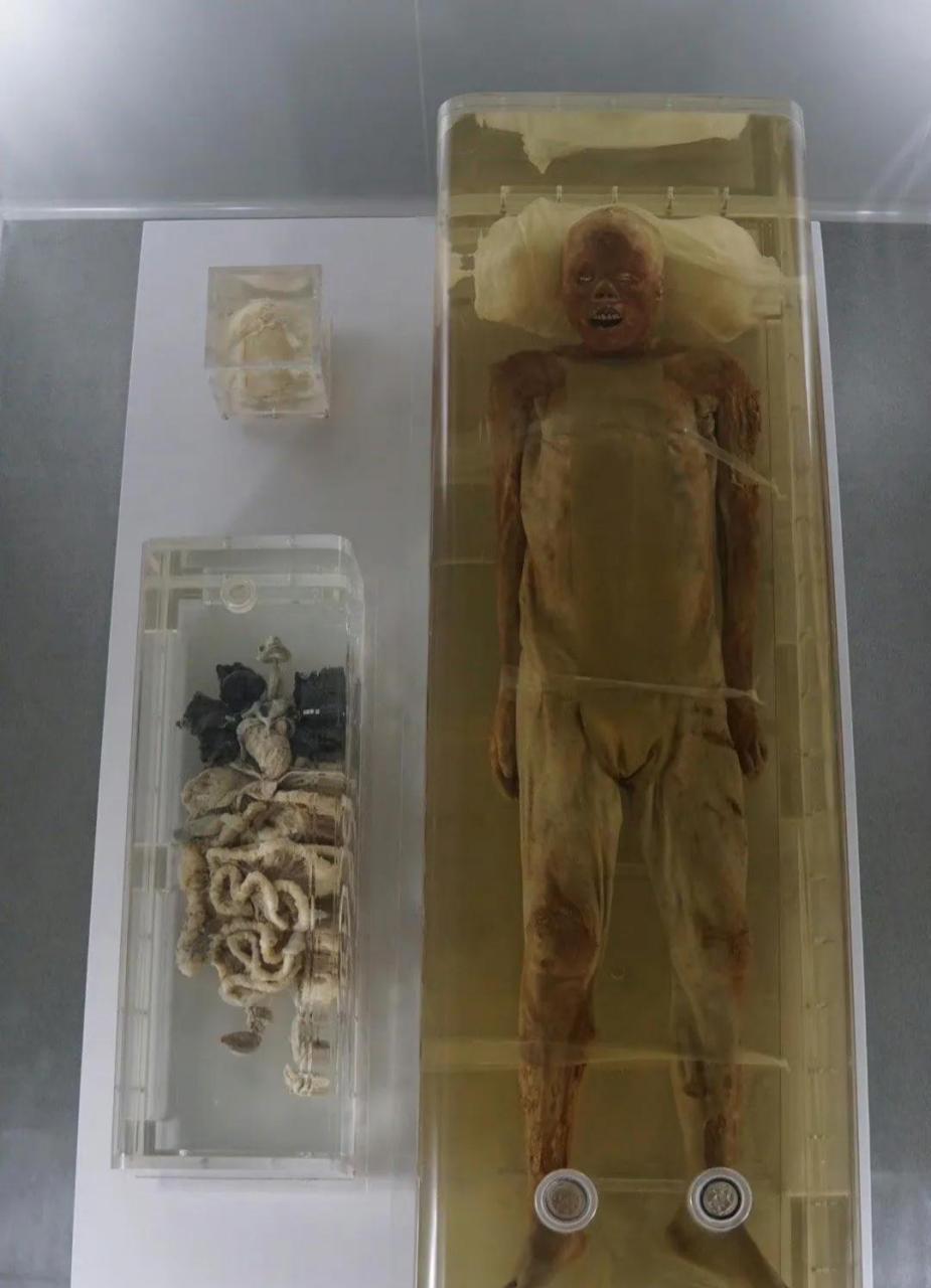 荆州博物馆跟湖南省博物馆同样,也有具古尸.珍宝馆馆藏