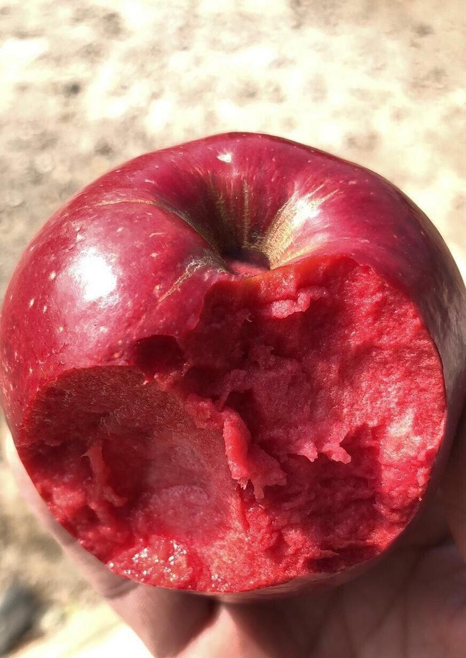 这是白雪公主的毒苹果吗?如此不同