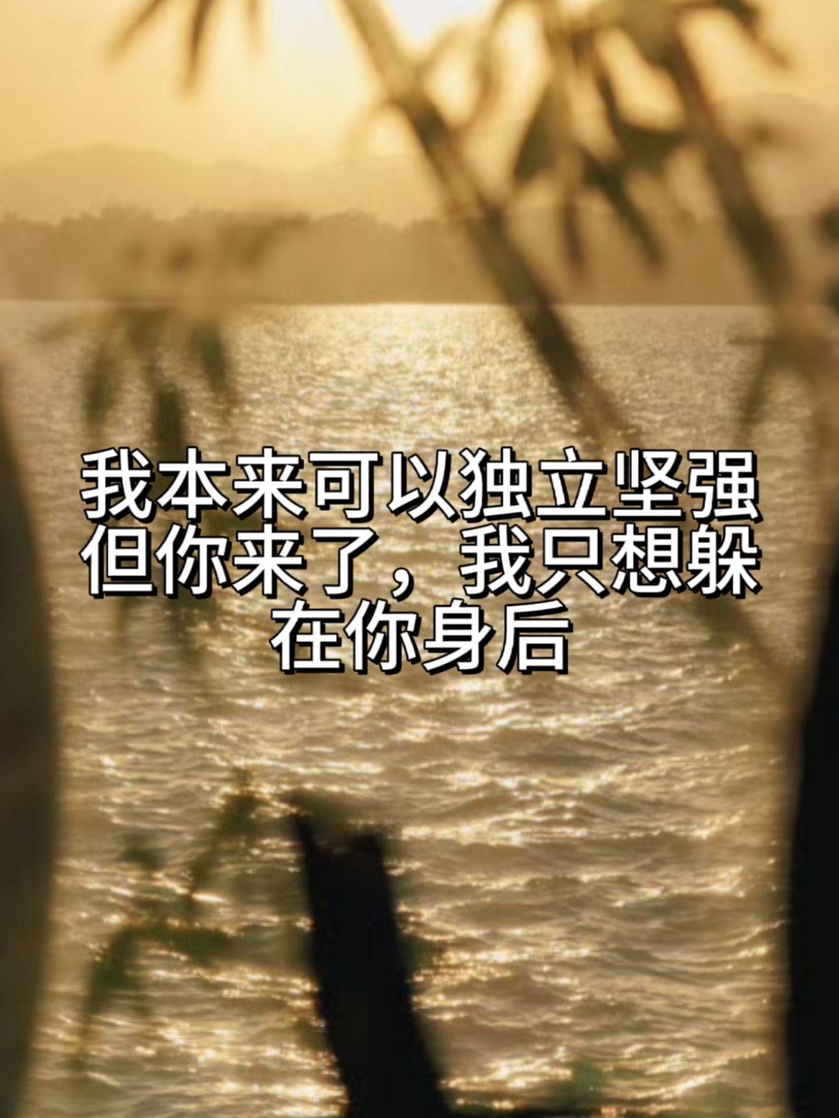 我本来可以独立坚强,但你来了,我只想躲在你身后 原本独立坚强的我,在