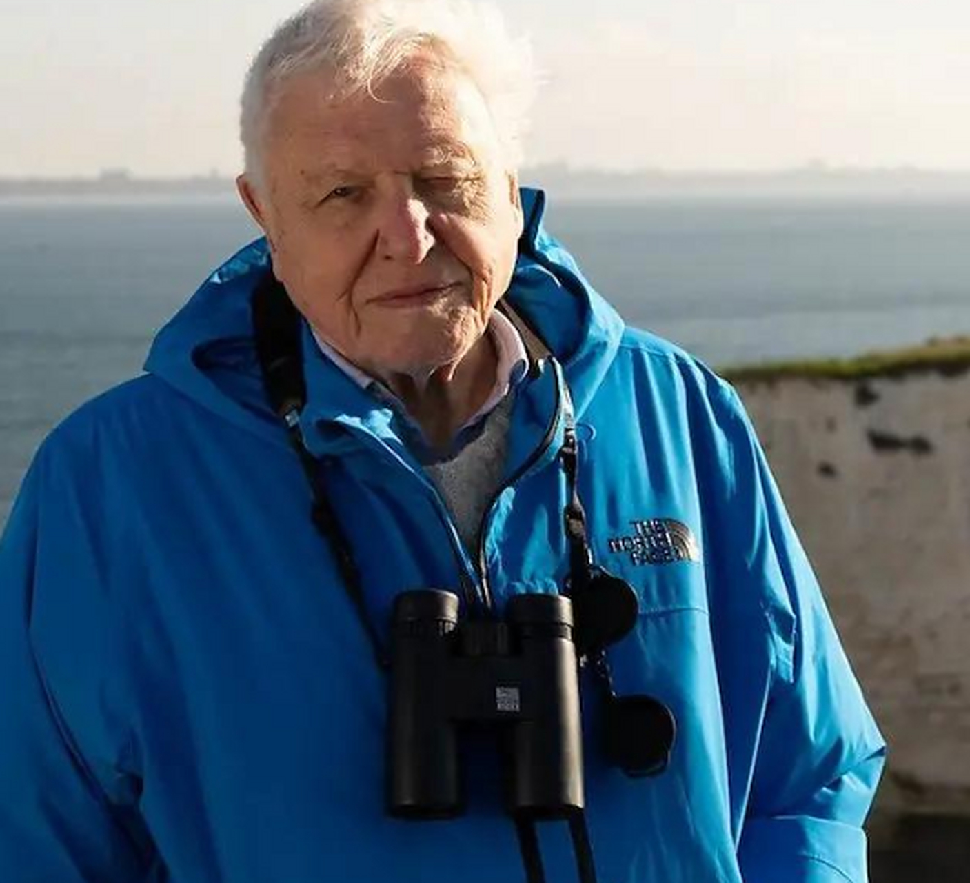 大卫·爱登堡(david attenborough)最新纪录片《荒岛》(wild isles)3