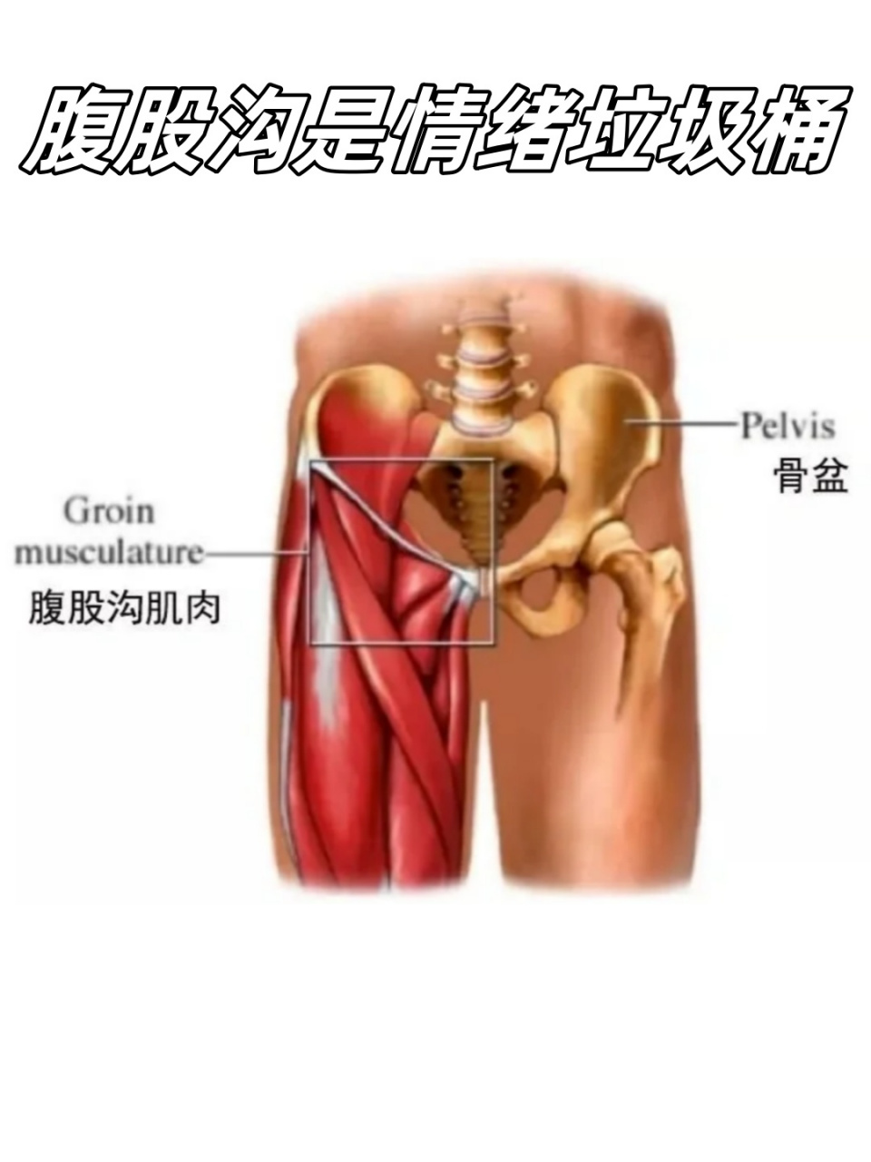 我们身体的沟壑部分容易积聚紧张,例如腋窝和腹