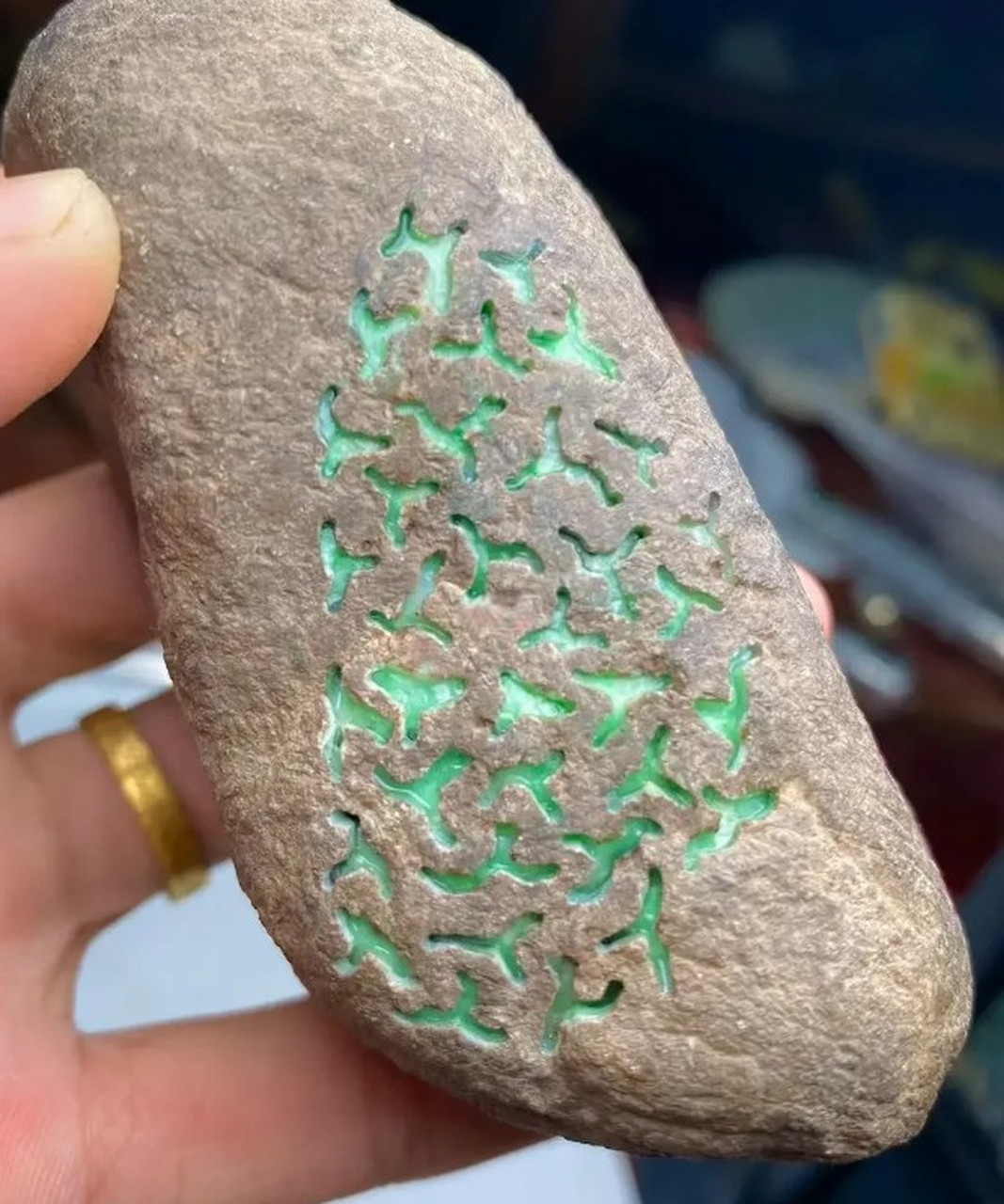 翡翠原石##点击头像看直播# 431克重,戒面级,老敞口莫西沙…开窗冰阳