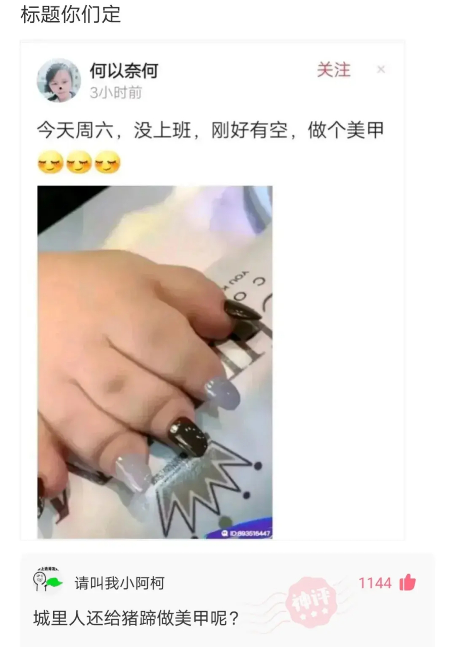 给猪蹄美甲,猪肯定不配合吧