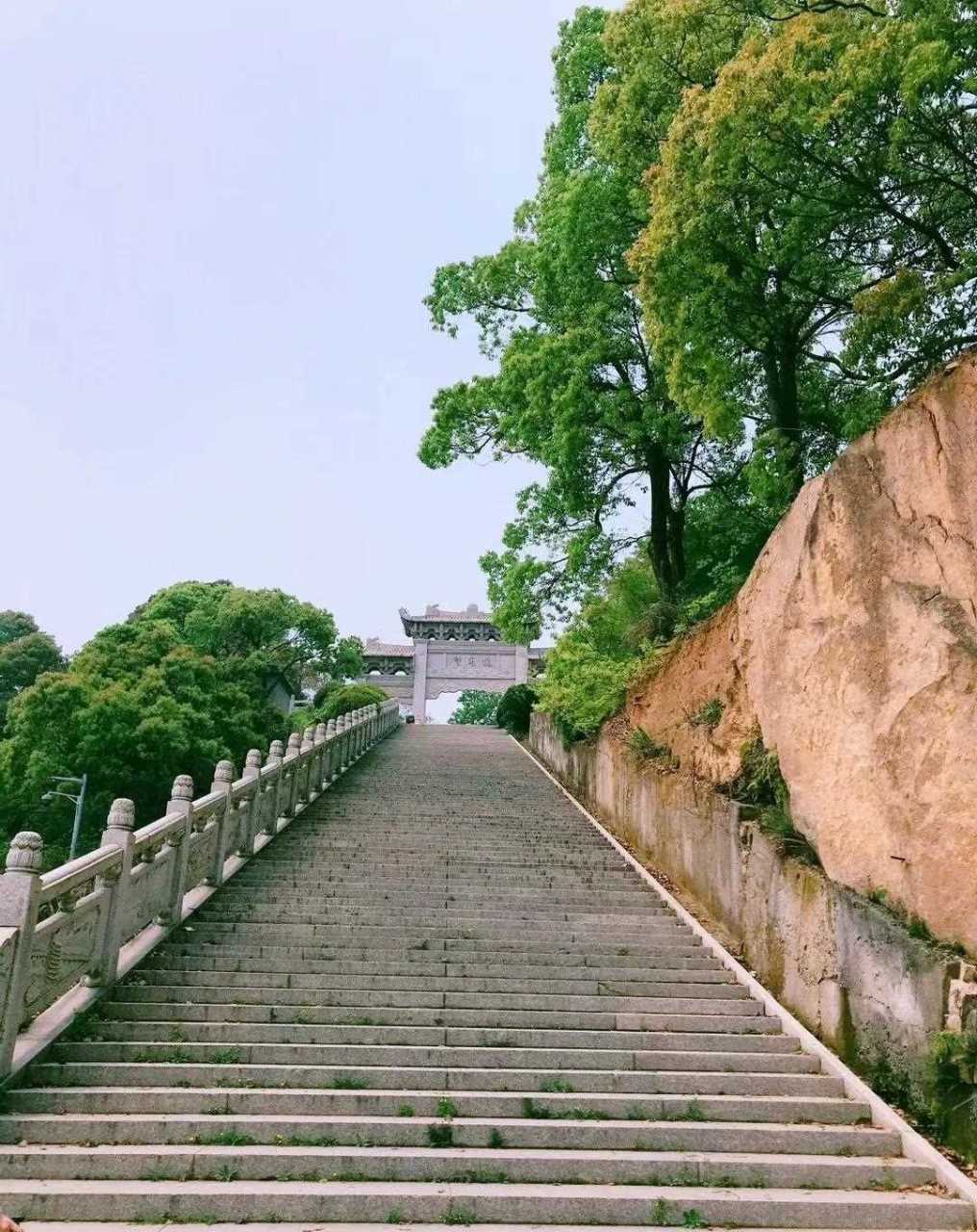 温州龙湾区附近的景点图片