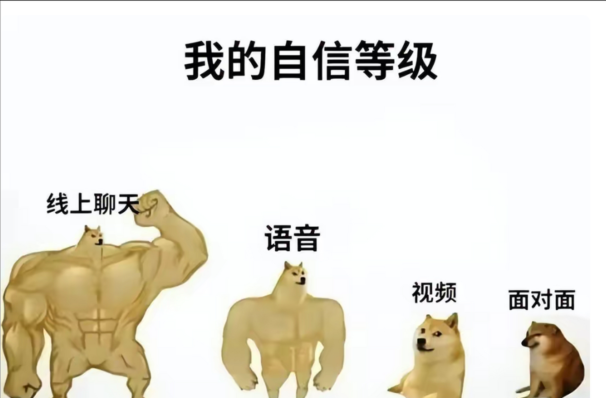 当代年轻人的自信等级网络上重拳出击,现在中唯唯诺诺