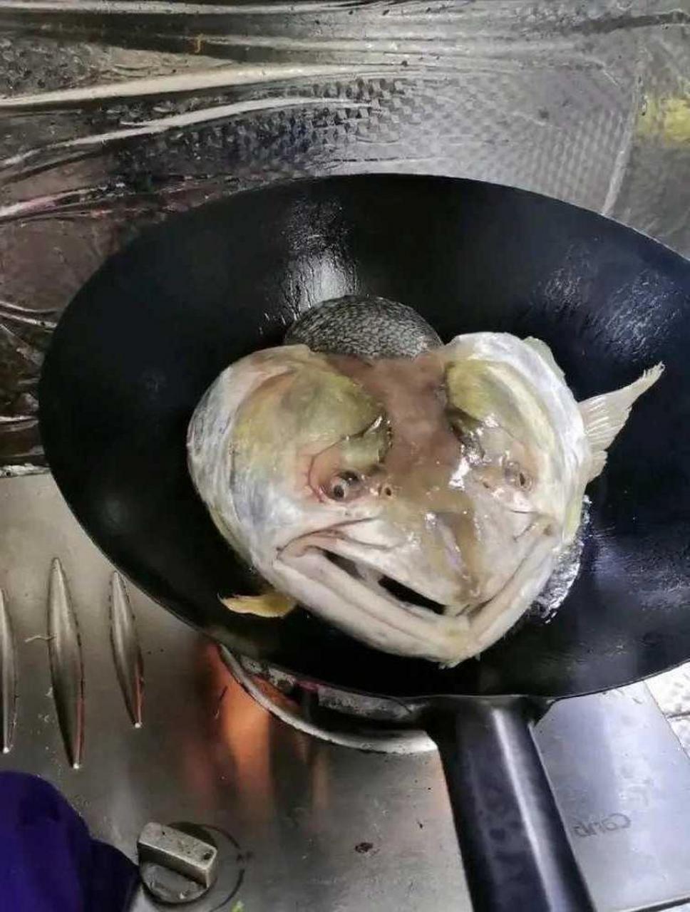这鱼头的表情有点奇怪