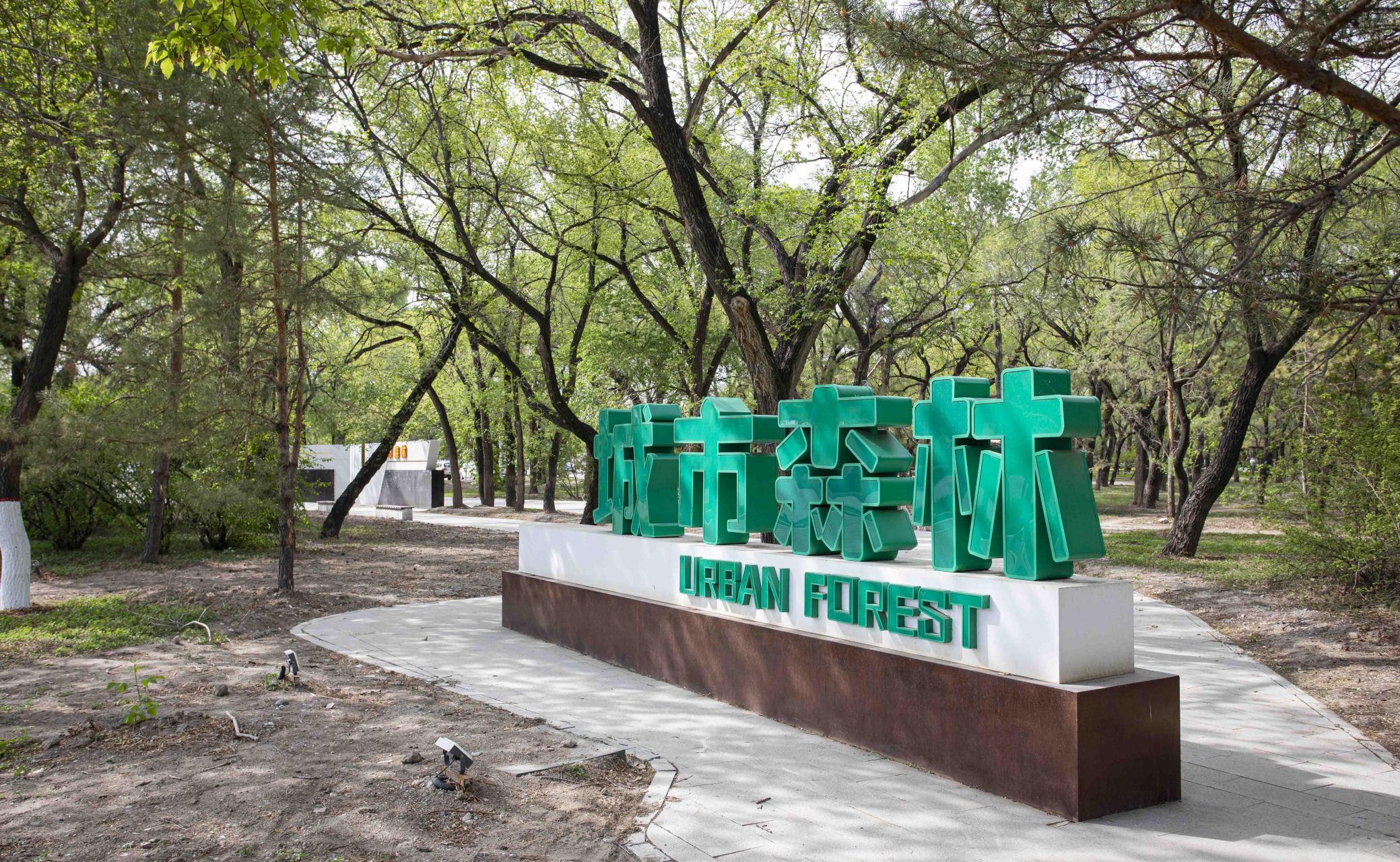 大庆百景推荐之三 城市森林(郁金香花开)