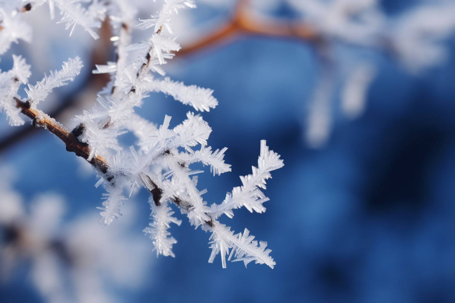 白茫茫的雪景图片