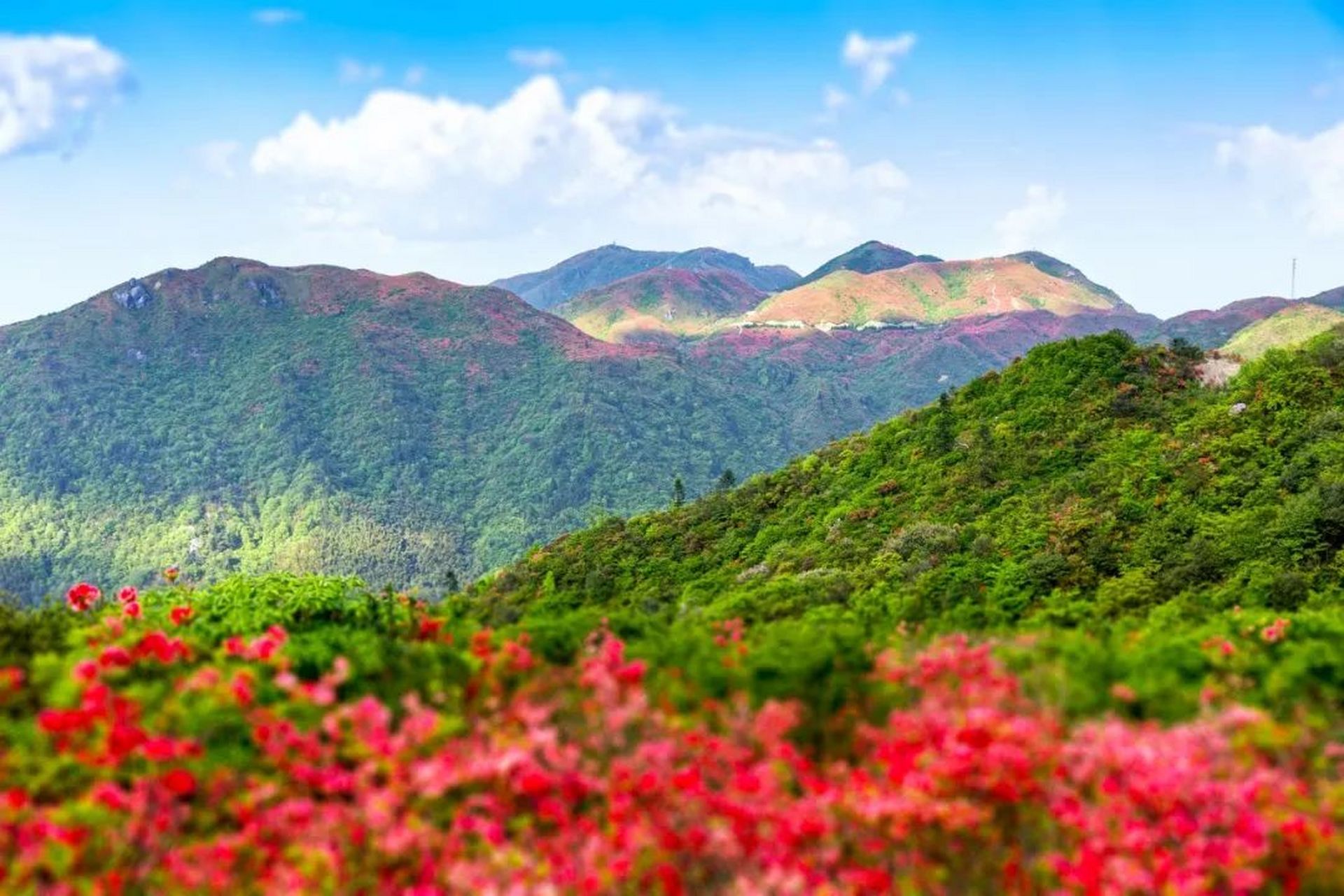 红河红河大围山图片