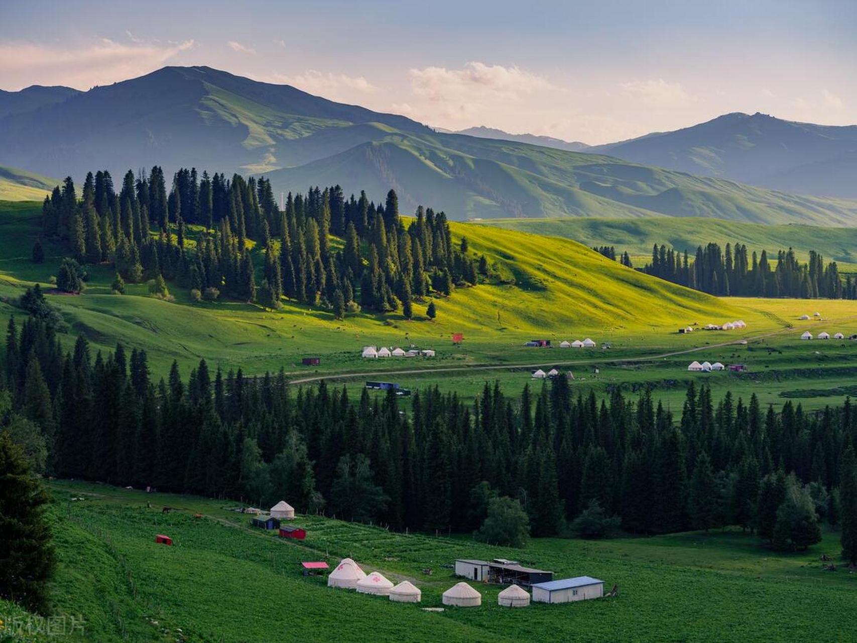 唐布拉草原为什么叫百里画廊?