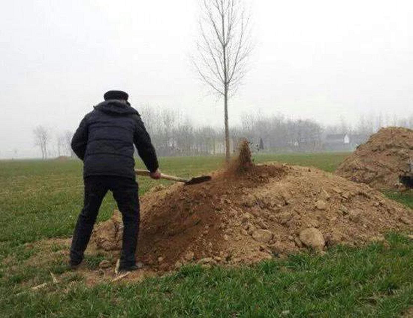 平坟运动到你家了吗?