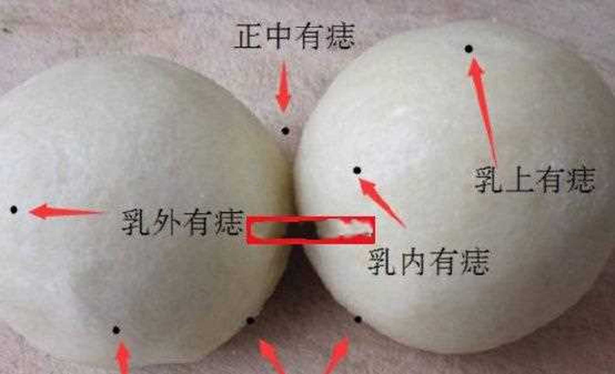 刚看到有个胸怀有痣的图样,笑疯了胸怀大痣,会有哪些利弊影响?