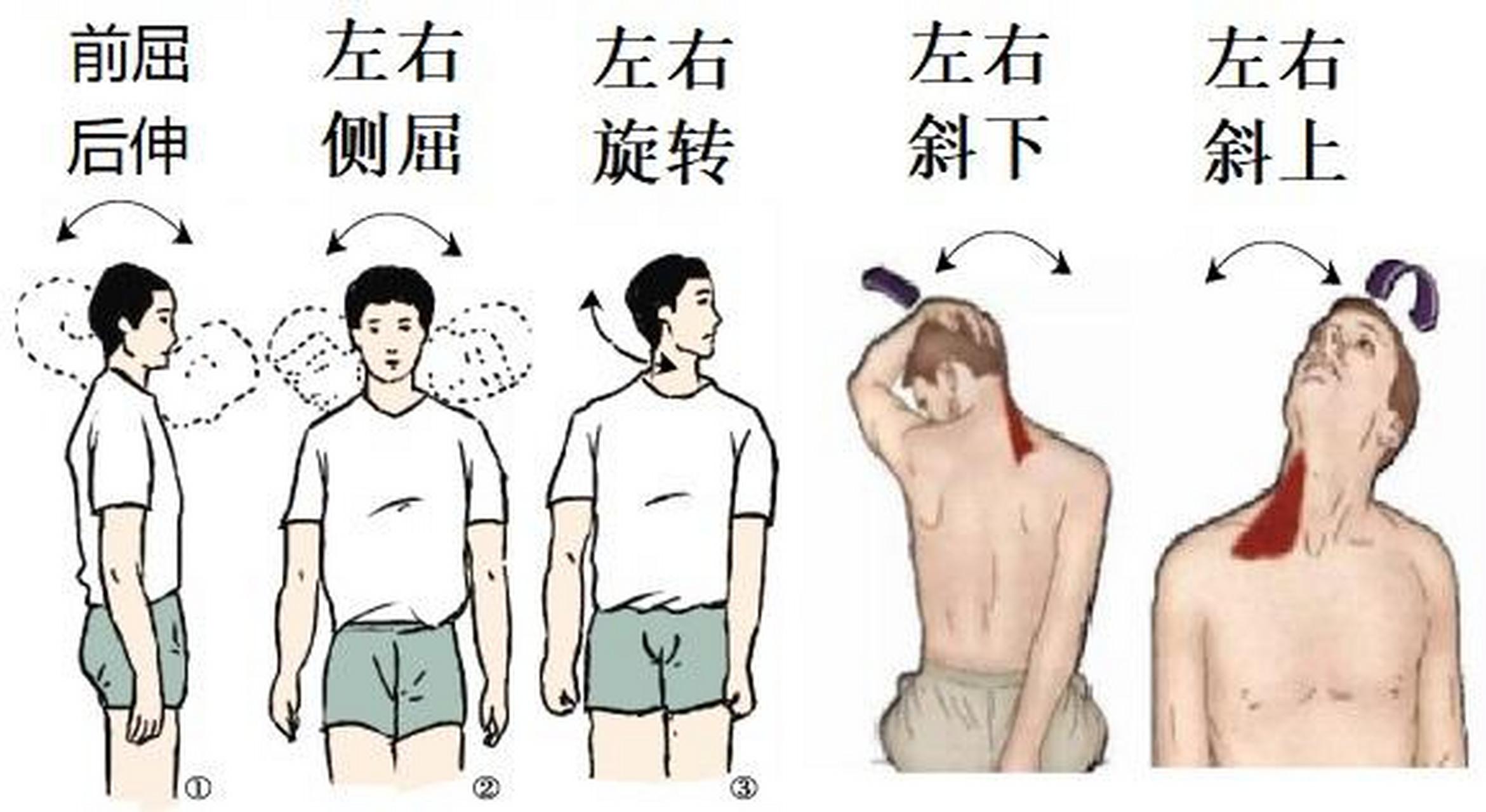 运动锻炼防治颈椎病  颈椎病的运动治疗是指采用合适的运动方式对颈部