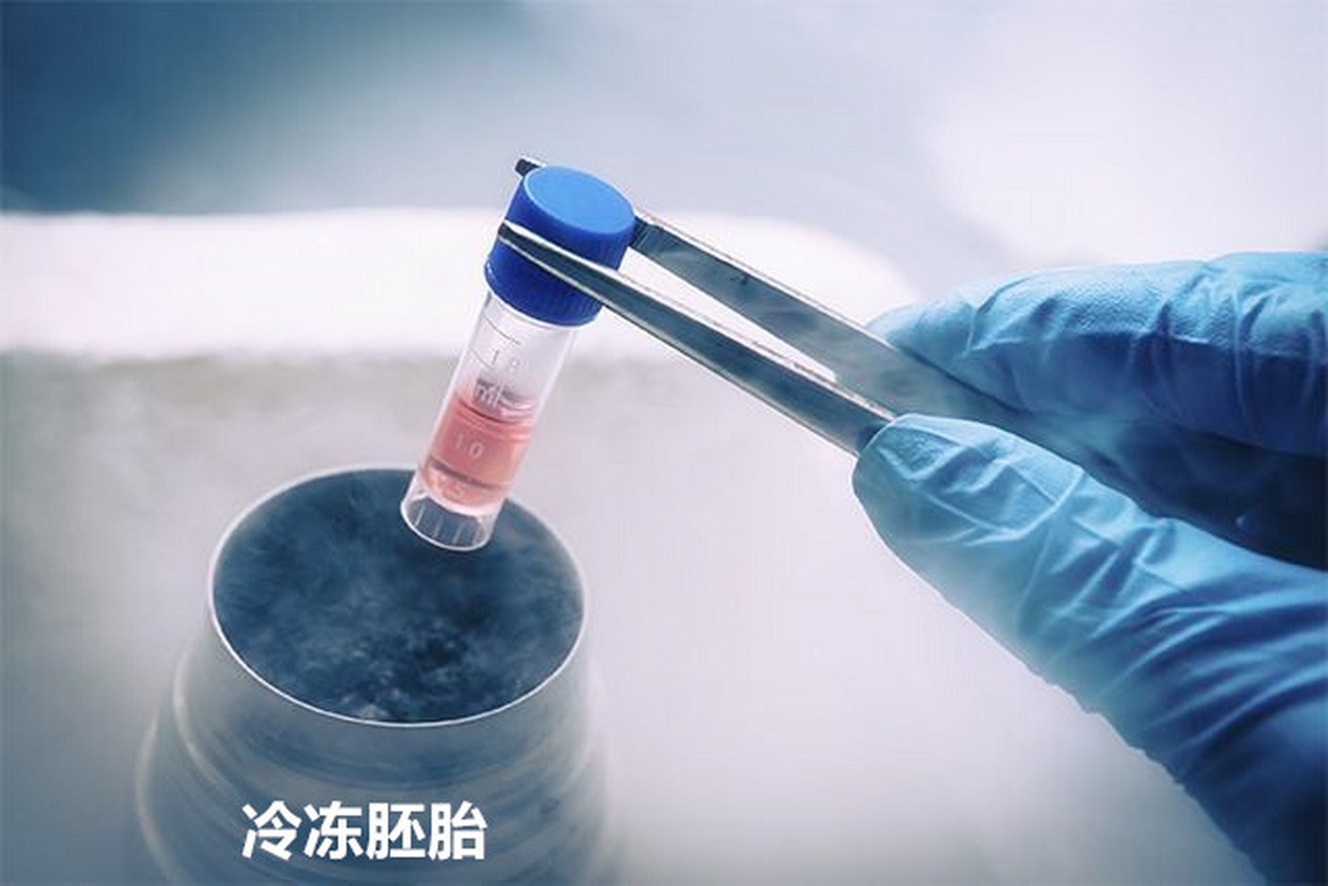 冷冻胚胎解冻后植入成功率高吗? 一, 冷冻胚胎与新鲜胚胎并无区别,胚