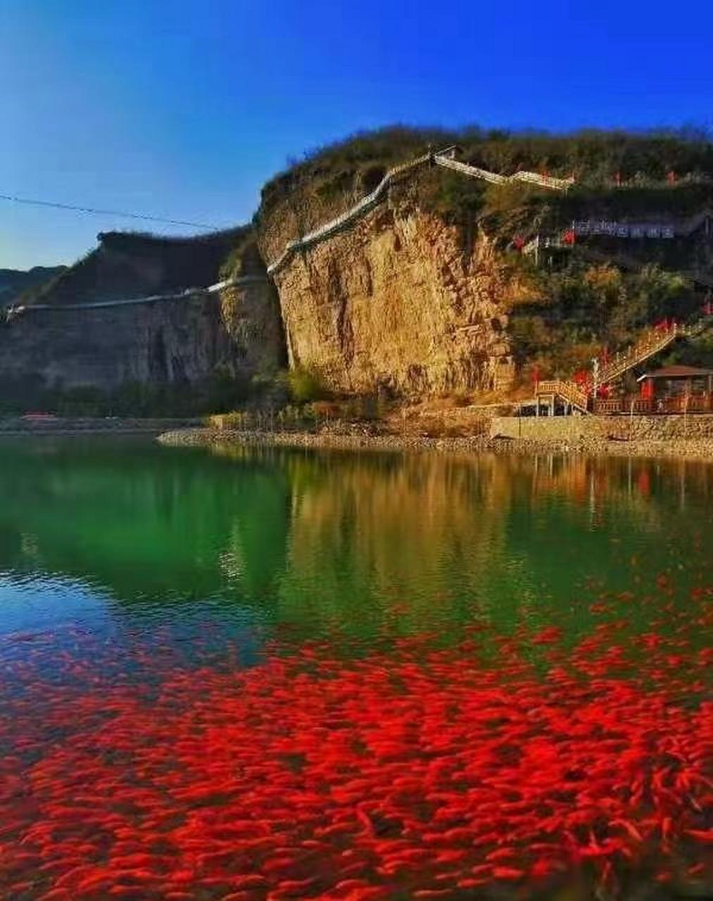 红岩岭自然风景区门票图片