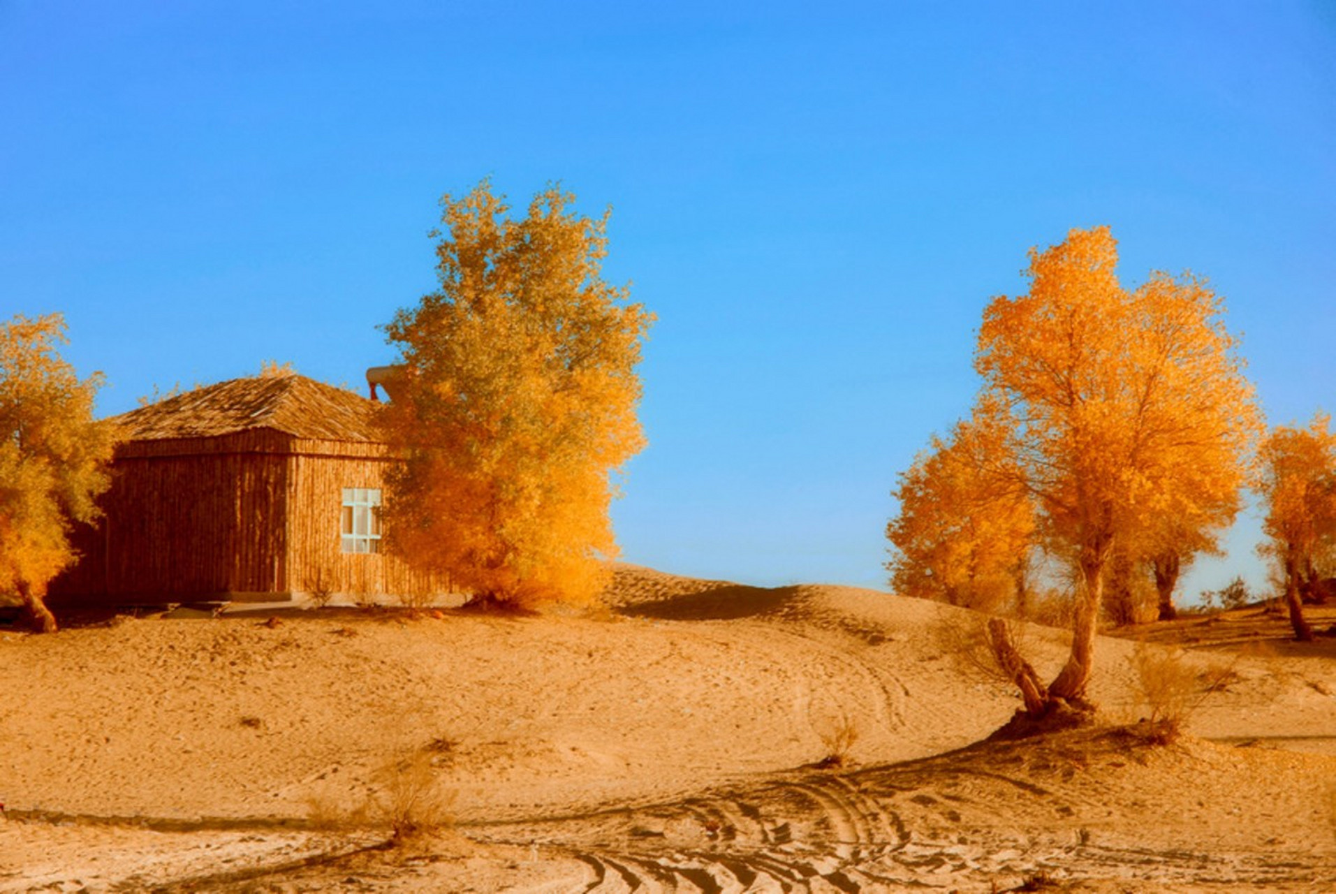 沙尘暴来了#鄯善库木塔格沙漠:位于吐鲁番市鄯善县,是世界上唯一一座