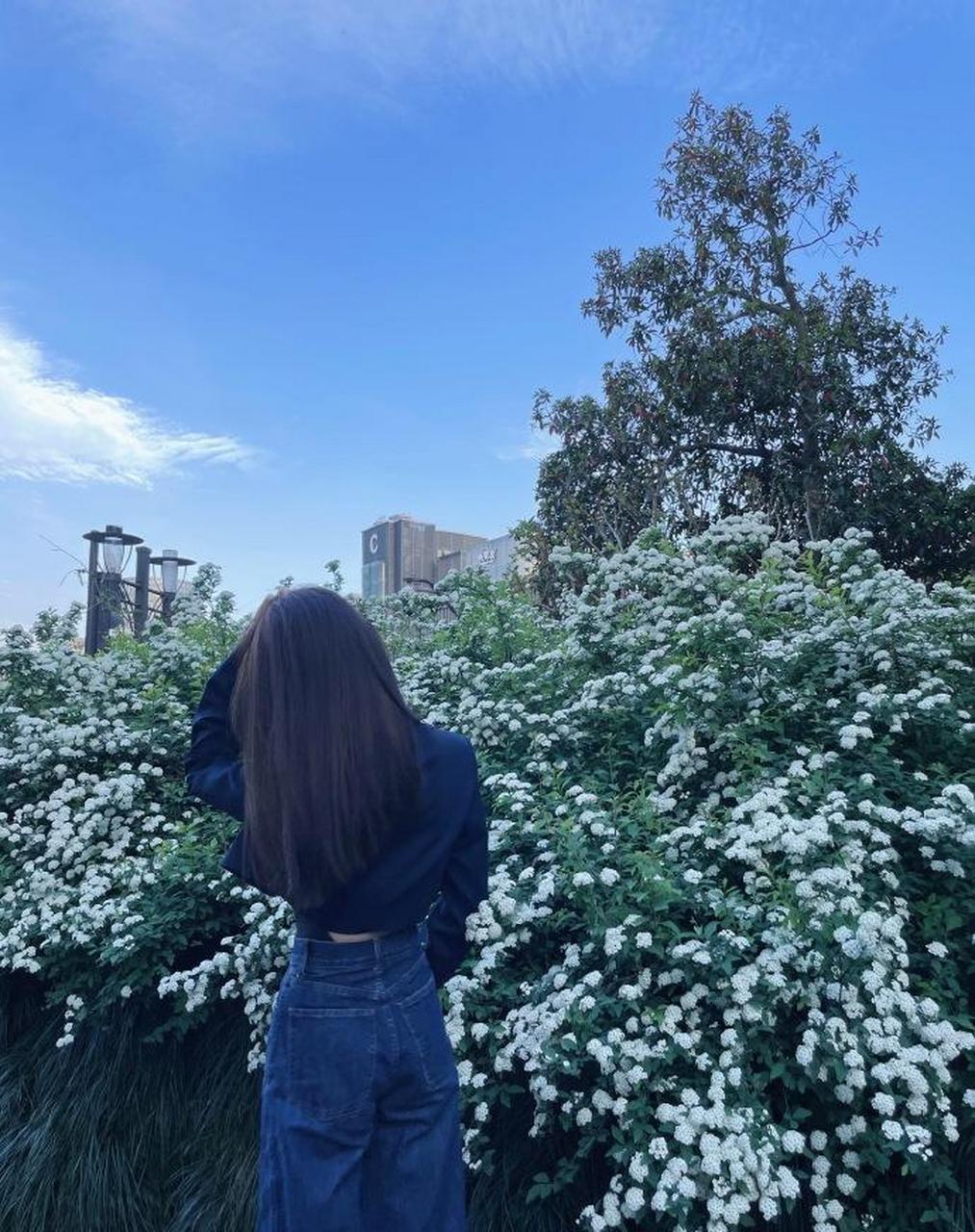 美女李佳宁迷人美照欣赏
