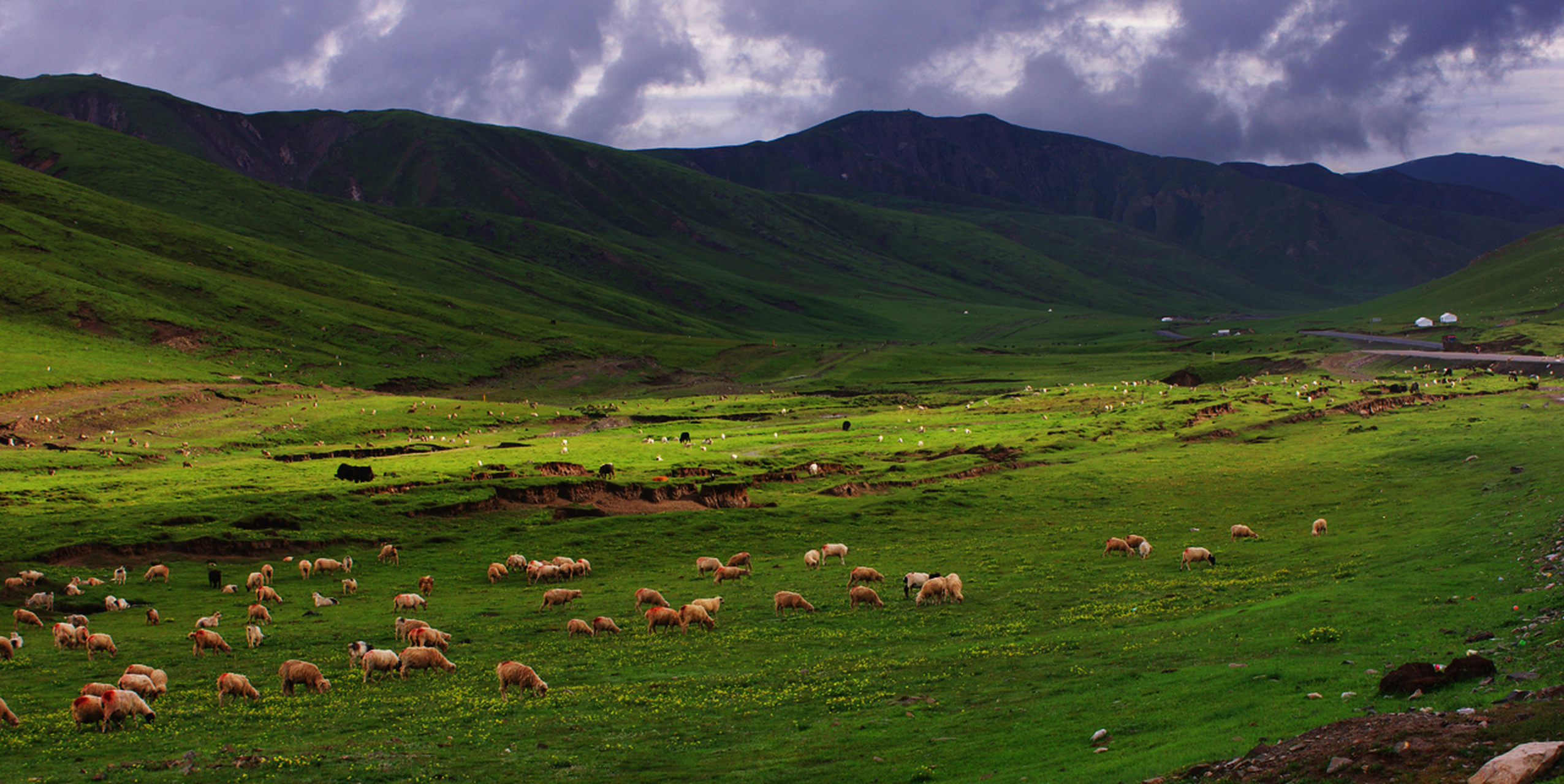 青海黑马河乡,中国日出第一乡,黑马河是青海湖环湖公路的起点,从这里