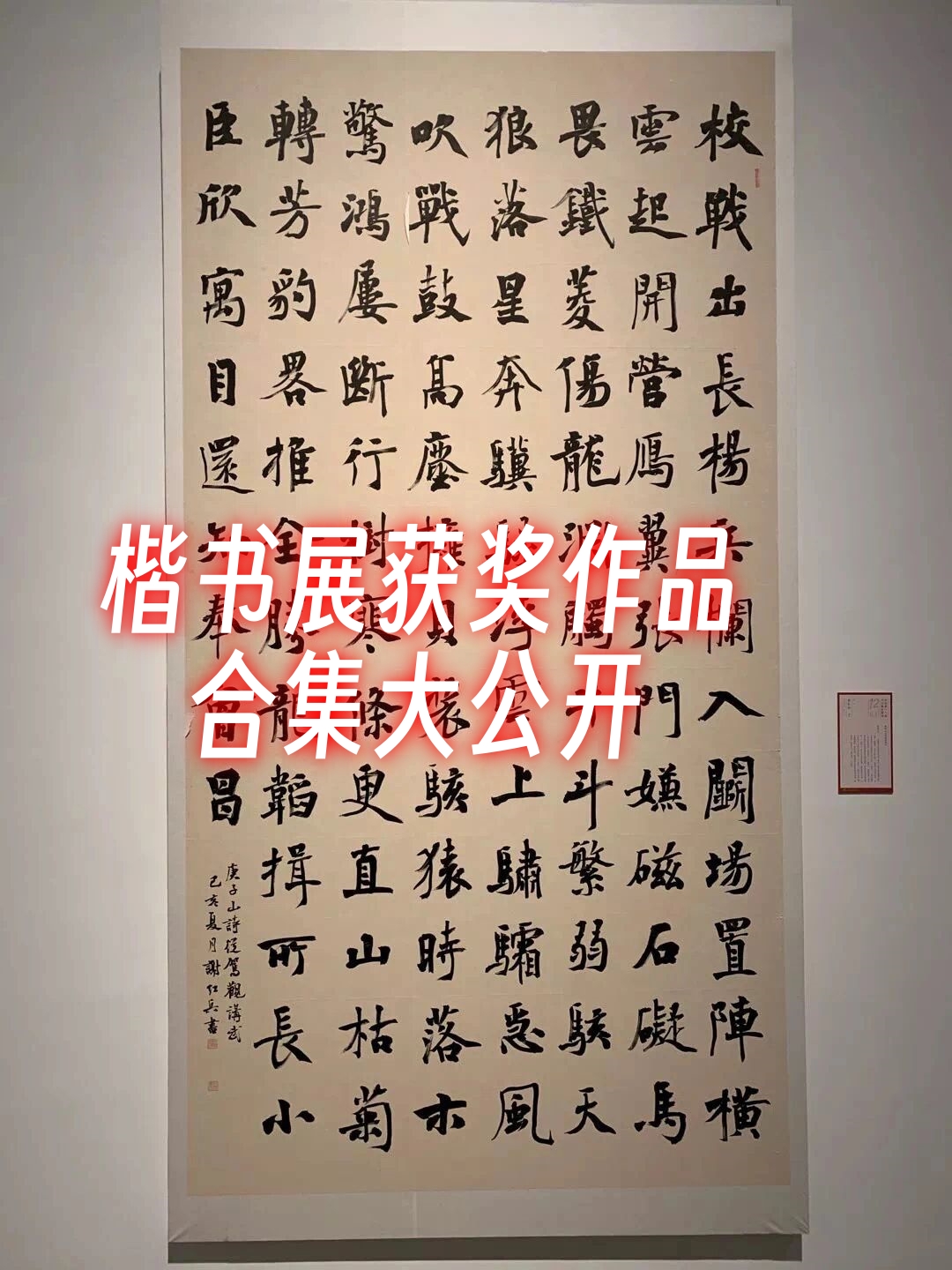 十二届国展获奖作品图片