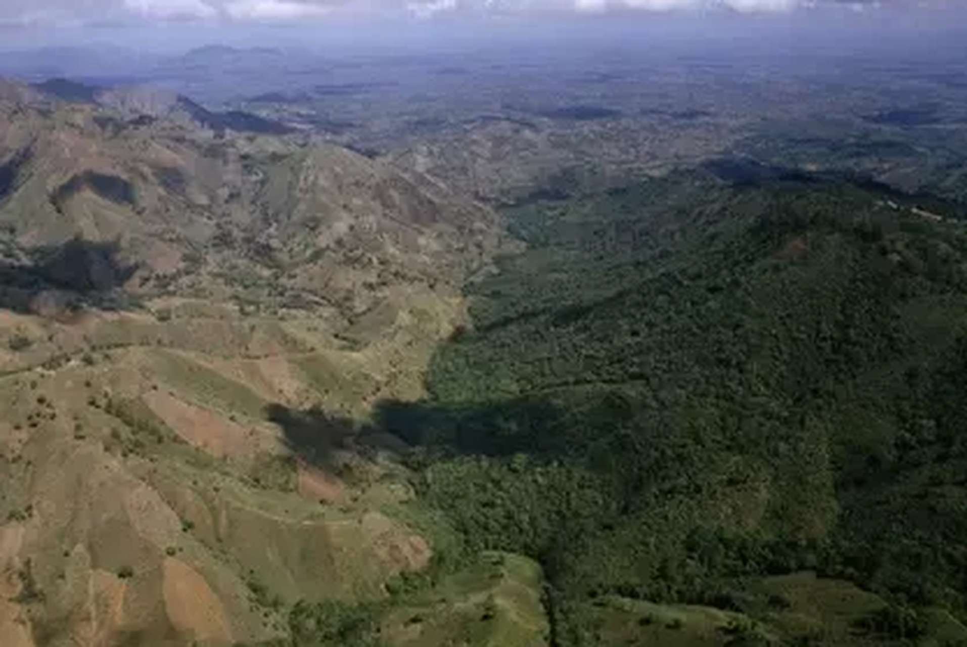 卫星图上,左边是海地,右边是多米尼加,海地没有控制森林砍伐,多米尼加