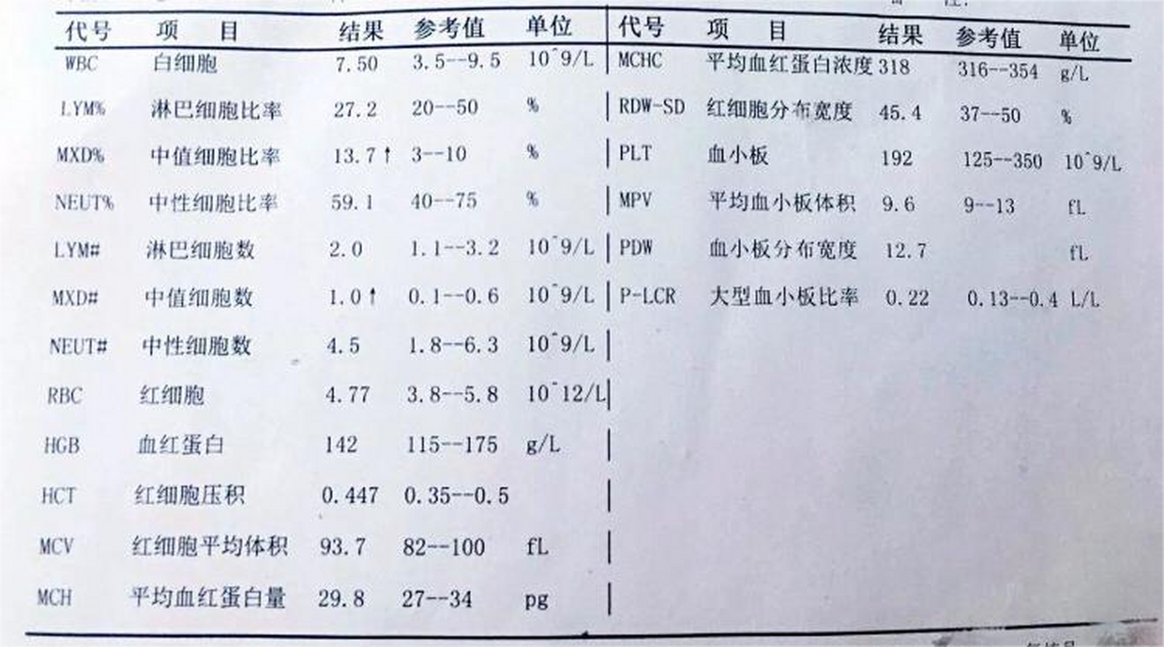 淋巴细胞升高图片