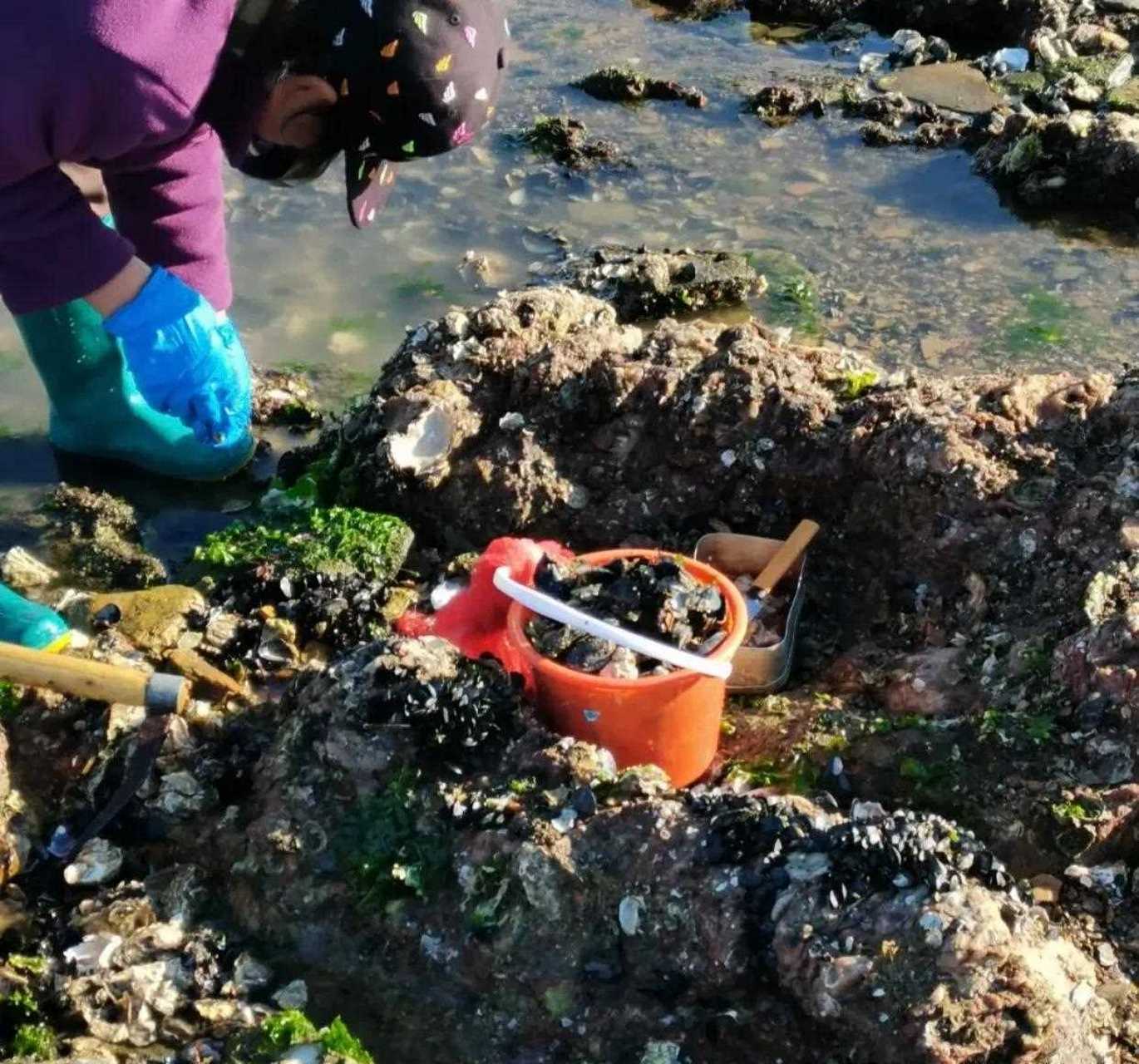 大连赶海小付家庄海滩本地人都去的地方,很多本地的大爷妈大妈他们都