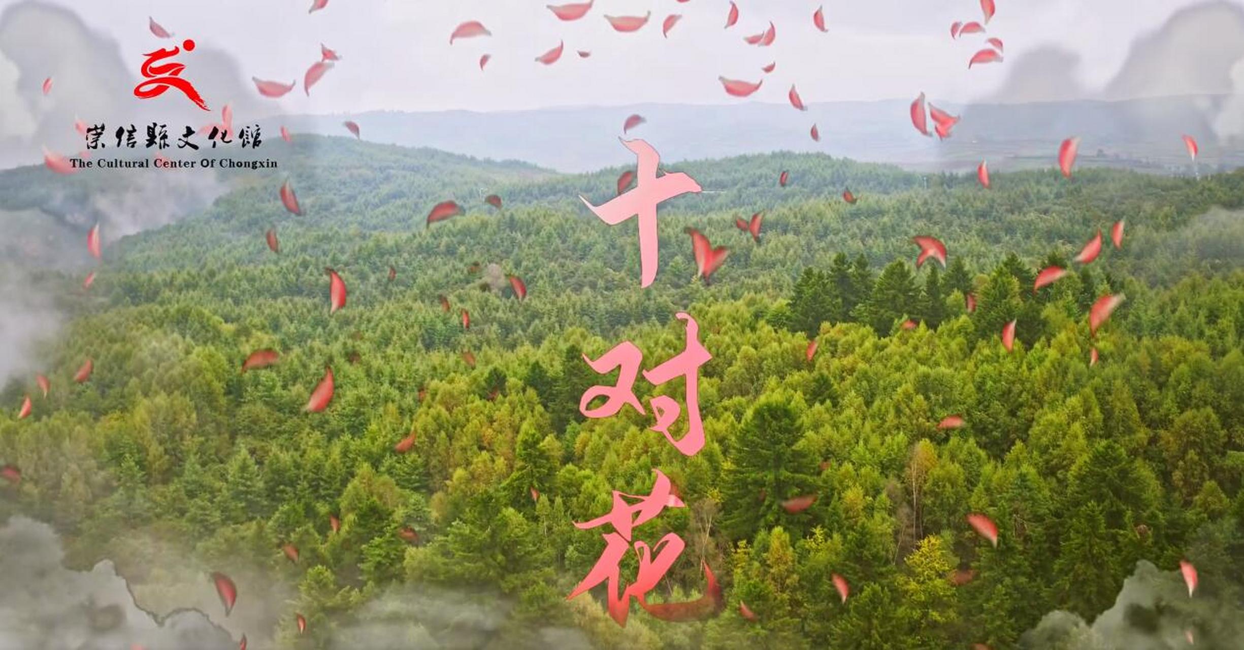 【甘肃省陇东(崇信)民歌《十对花》】#非遗过大年#,#春节168小时