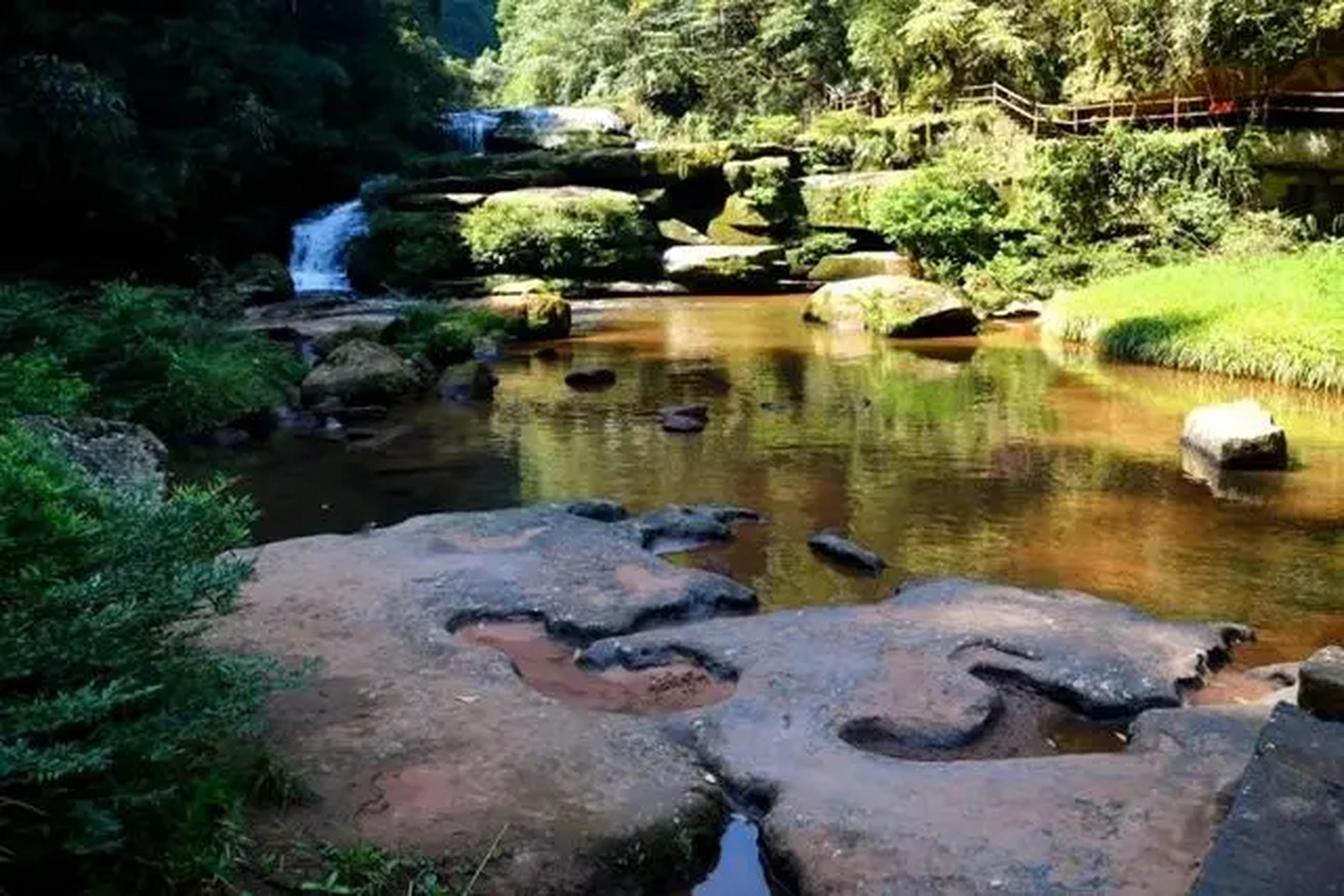 黄荆老林景区图片