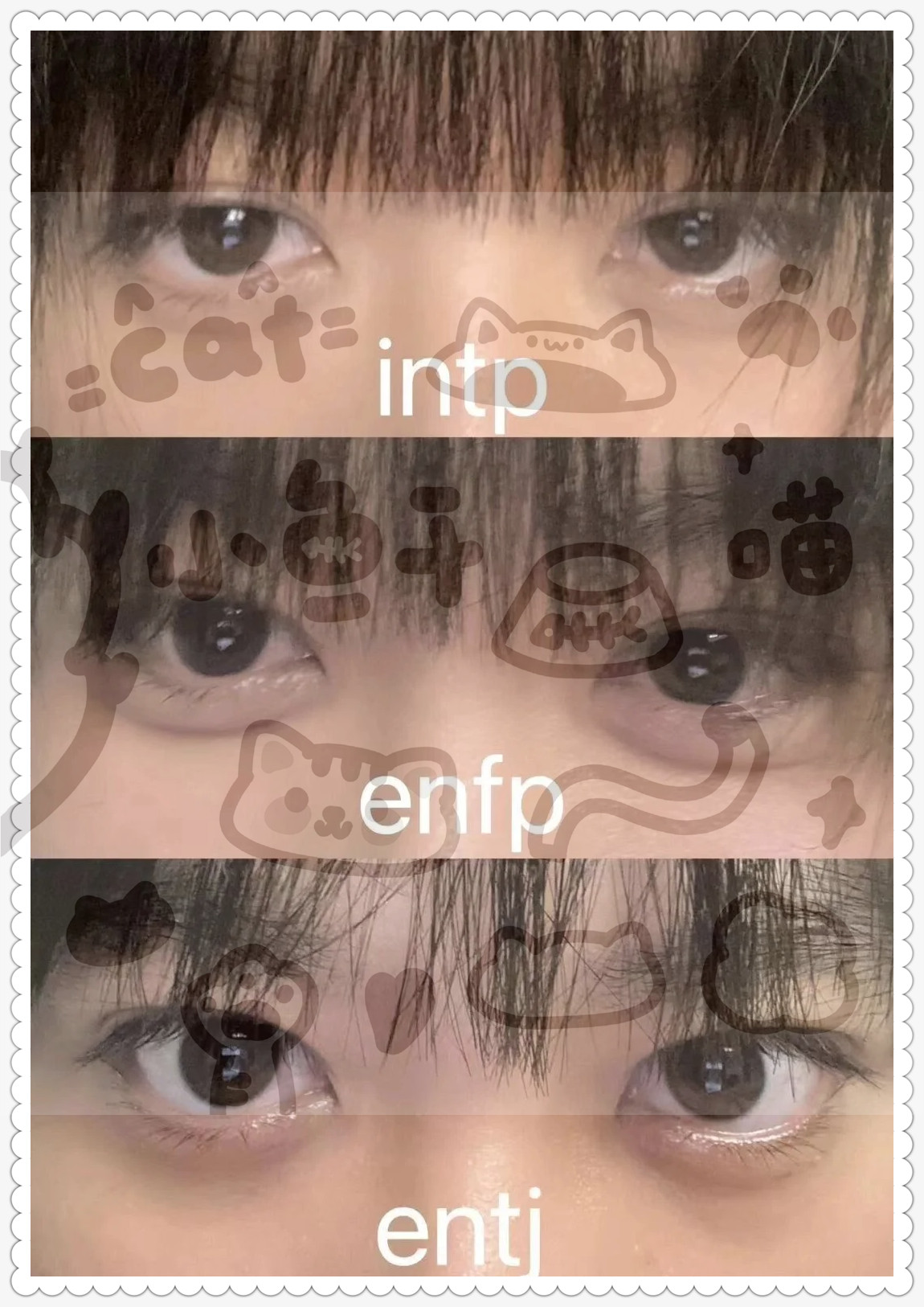 听说这是t人和f人的眼神区别?