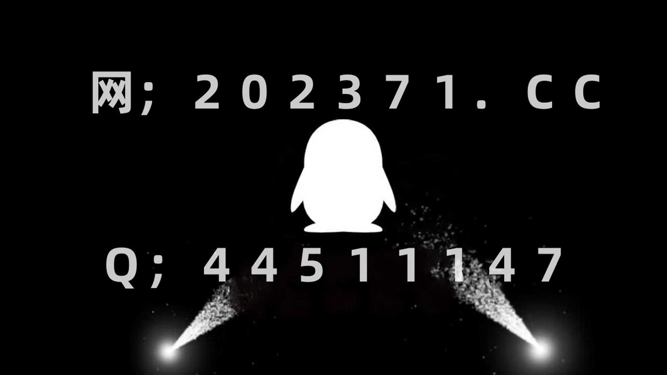 合肥51品茶##宜宾品茶资源高端茶楼网##合肥新茶联系方式# 锦鲤飞机