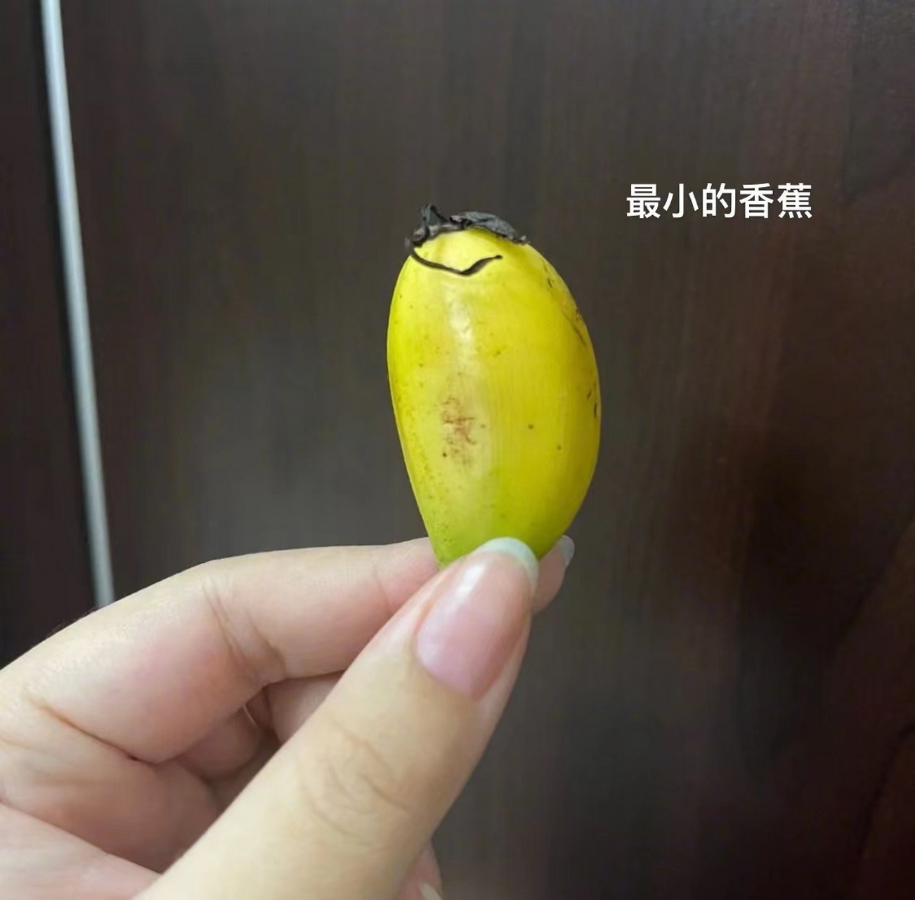 这是我见过最小的香蕉.