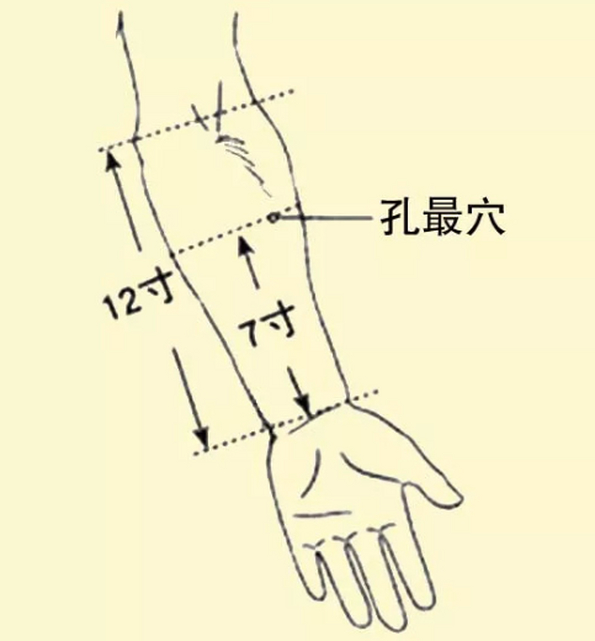 孔最的准确位置与功效图片