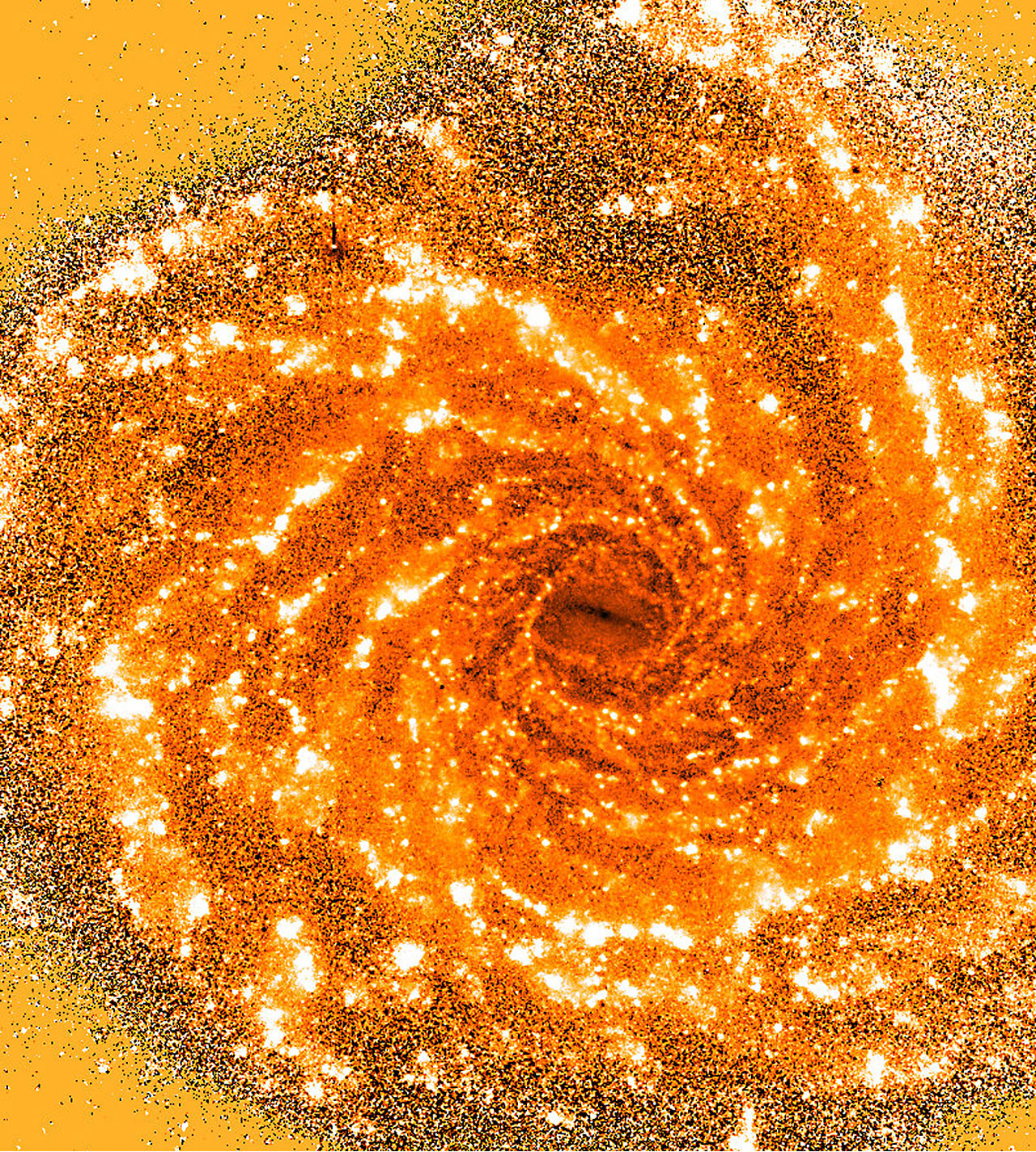 ngc6523
